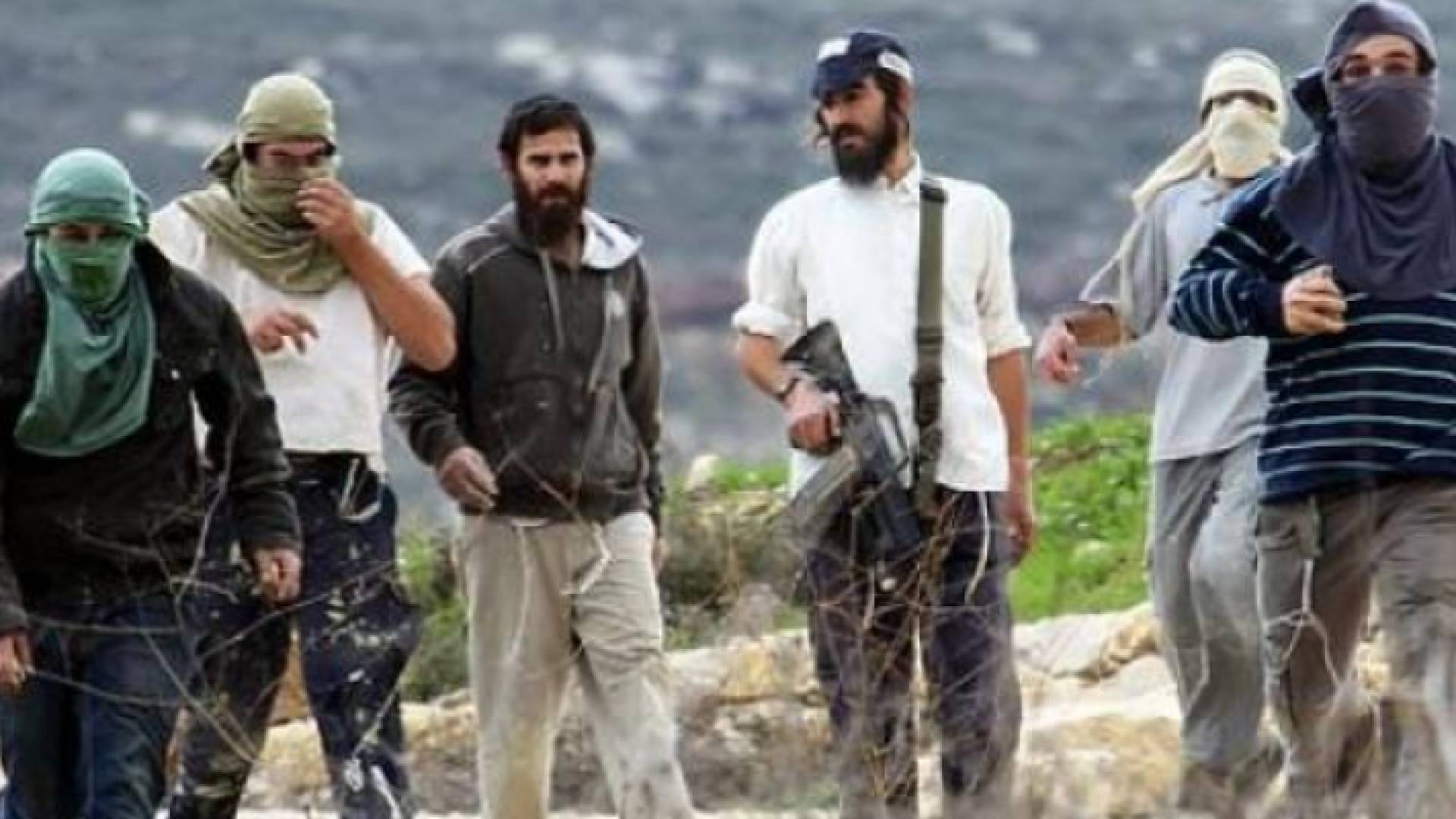 مجموعة من قطعان المستوطنين - ارشيفية