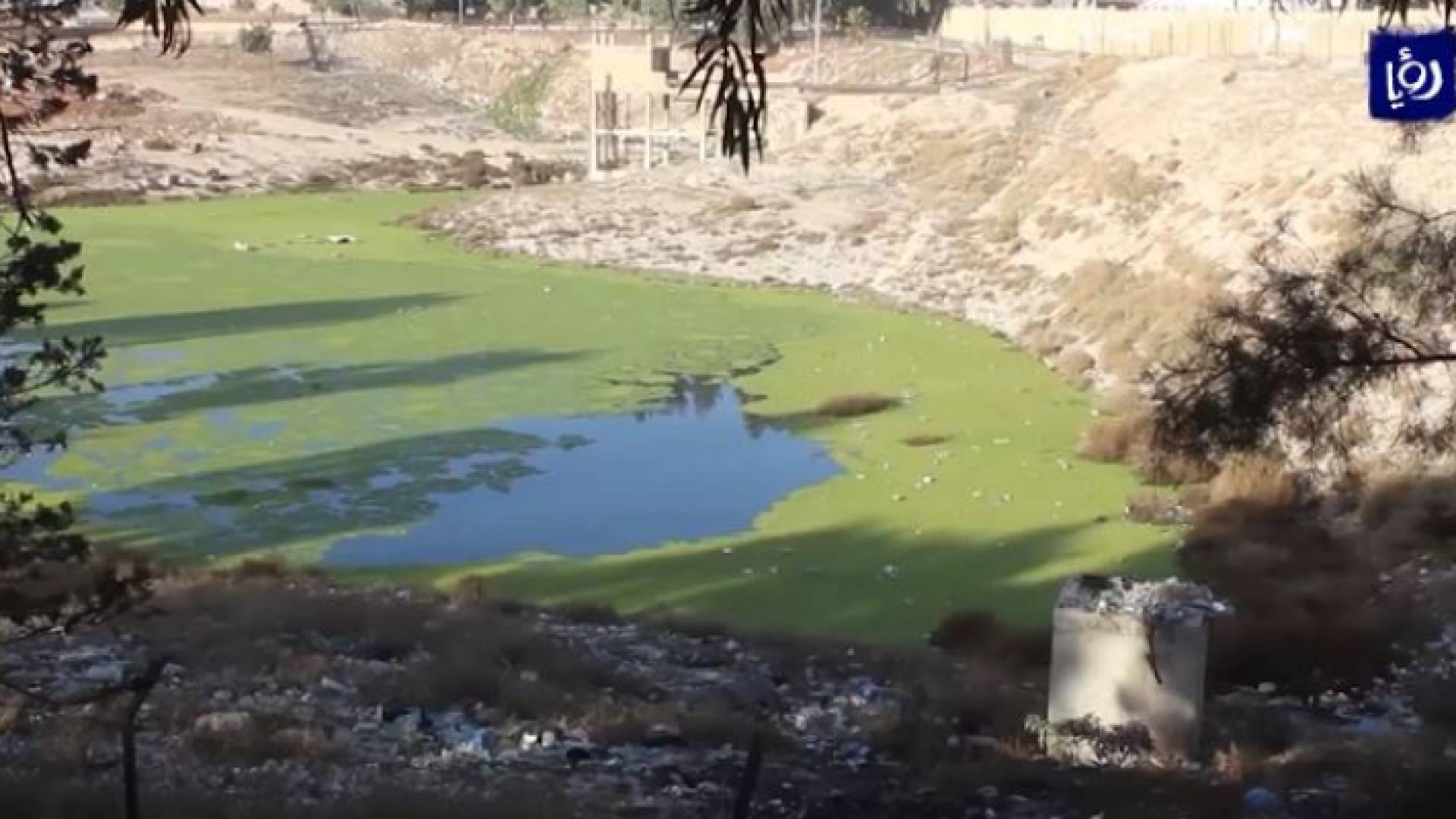 صورة من الفيديو