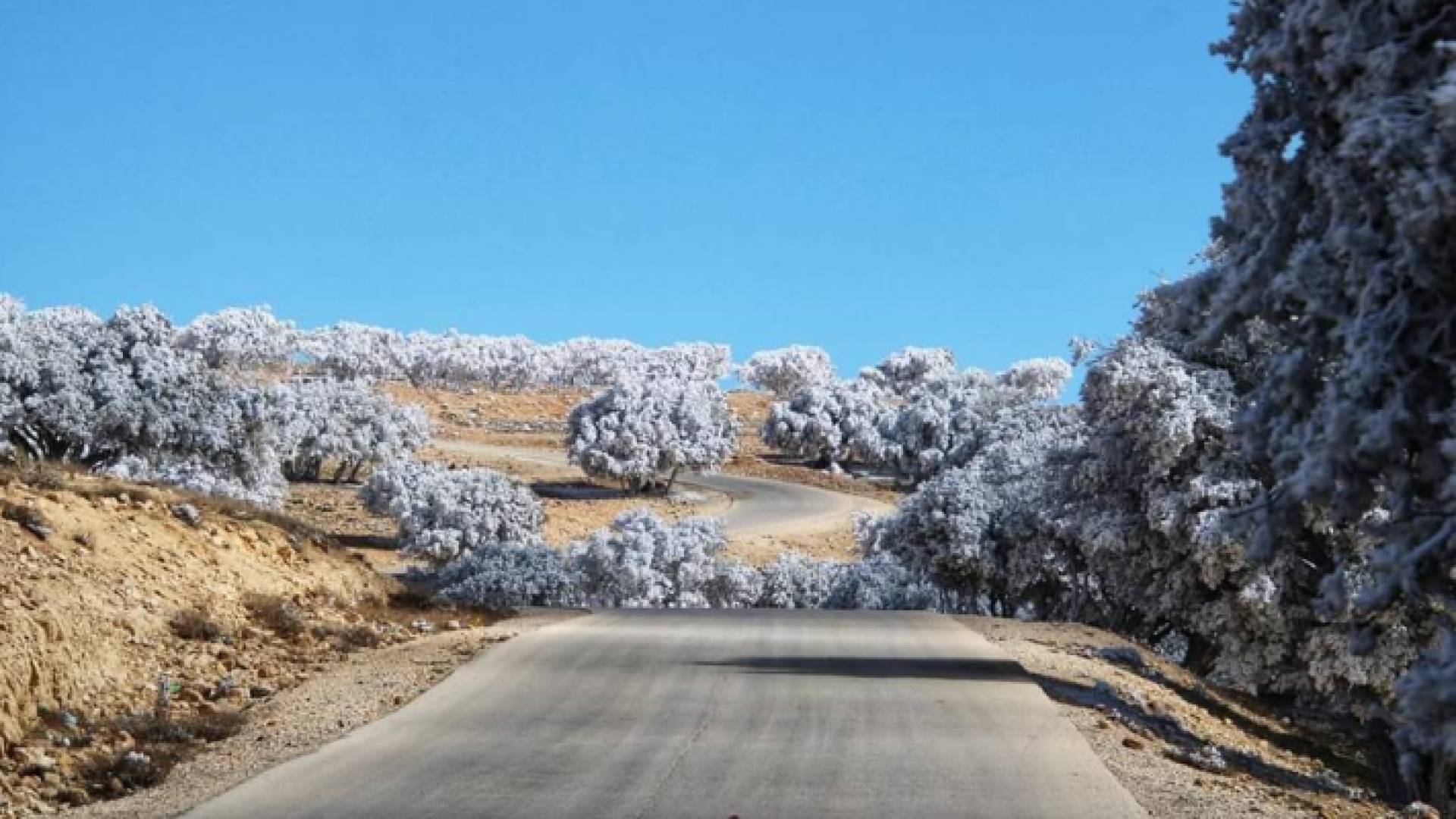 الأرصاد تكشف سبب عدم تأثر الأردن بمنخفضات جوية الاسبوع الحالي