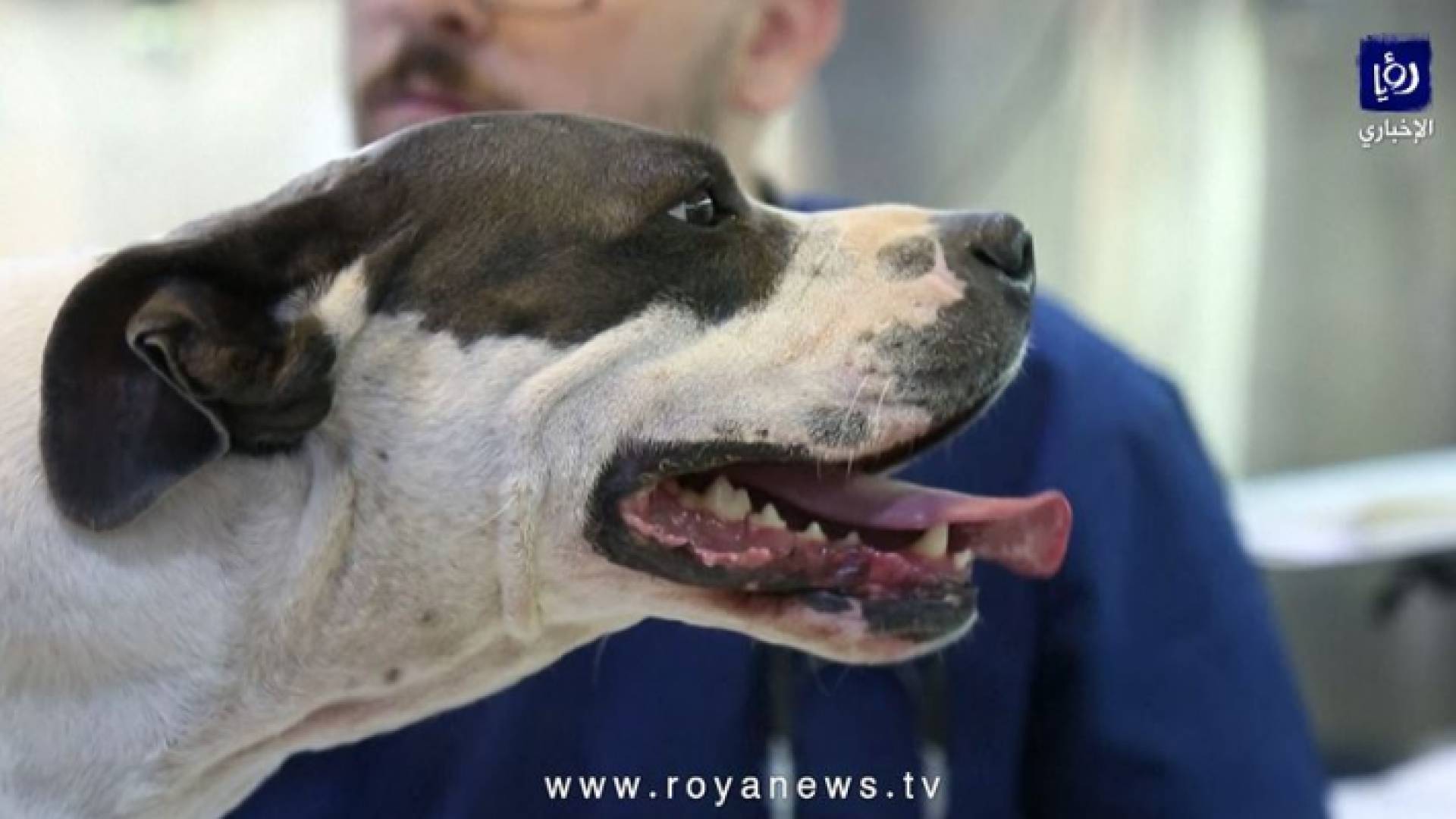 صورة من الفيديو