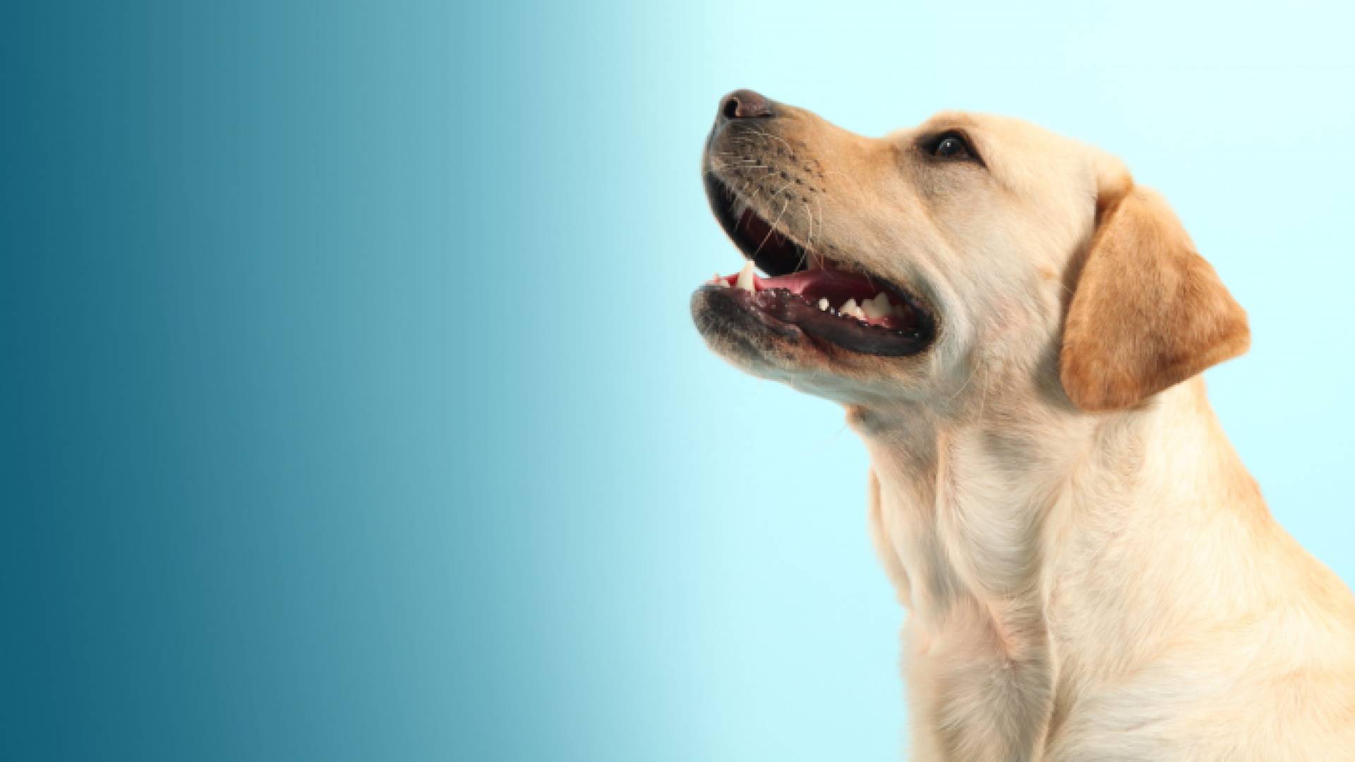 الصورة أرشيفية