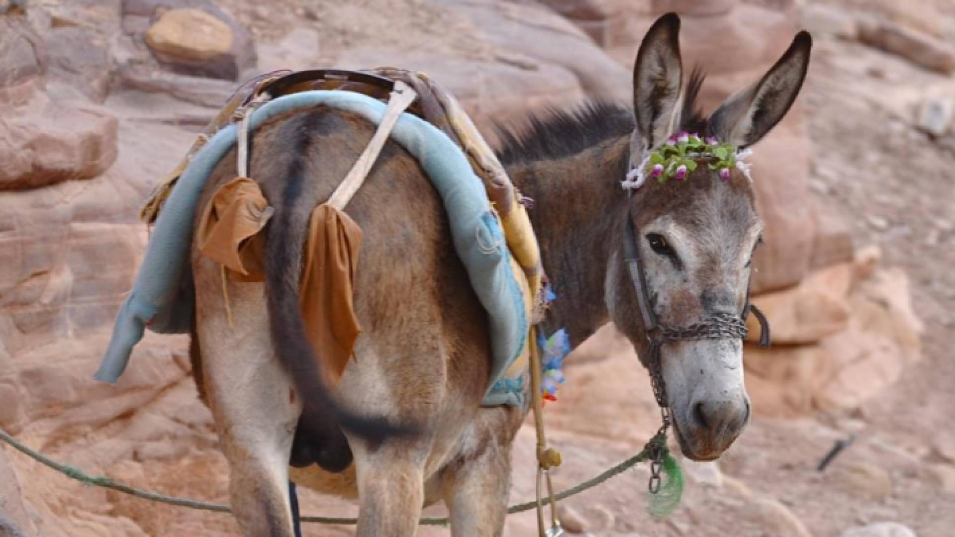 الصورة أرشيفية