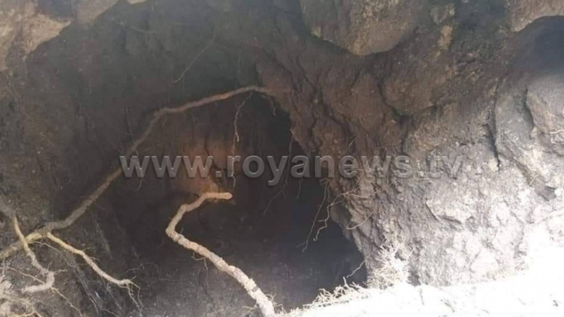 ظهور مغارة في وسط الشارع بمنطقة كفرابيل التابعة لبلدية برقش