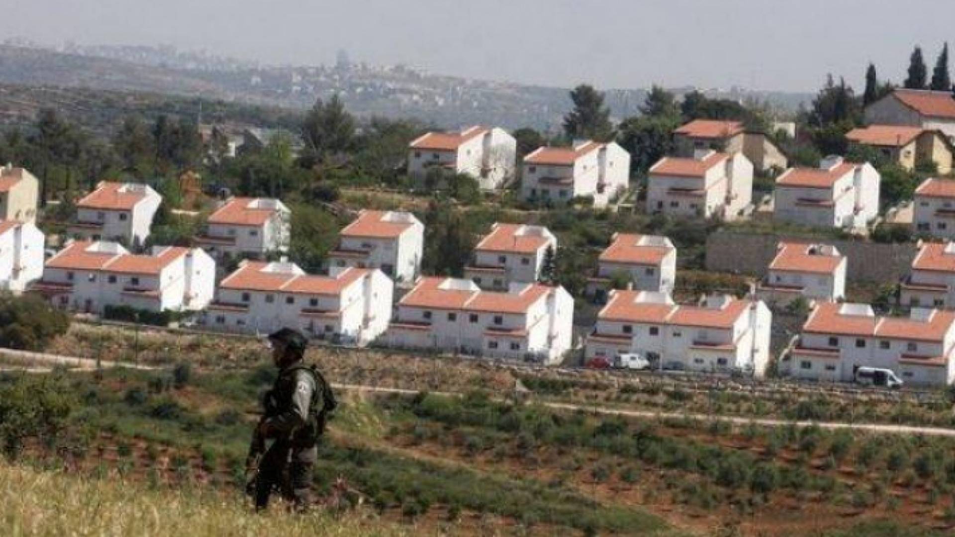 الصورة أرشيفية