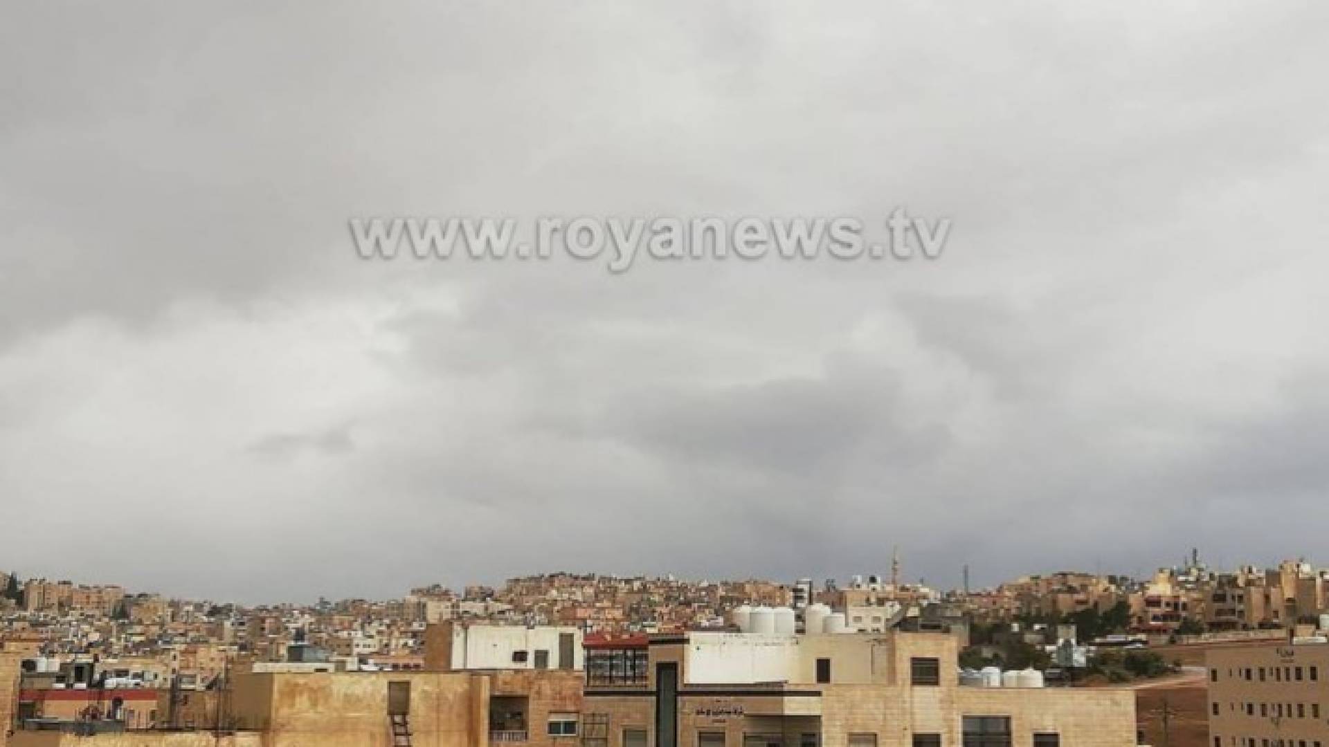 ارشيفية