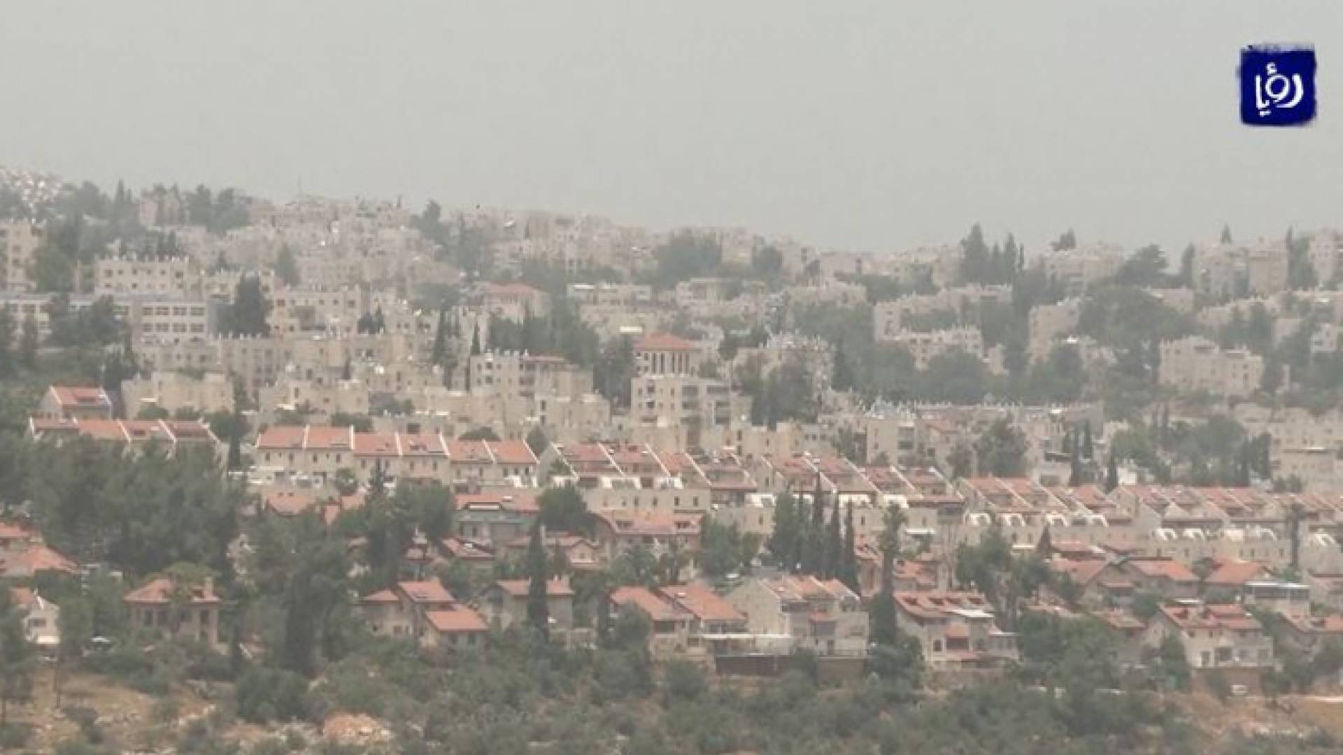 صورة من الفيديو