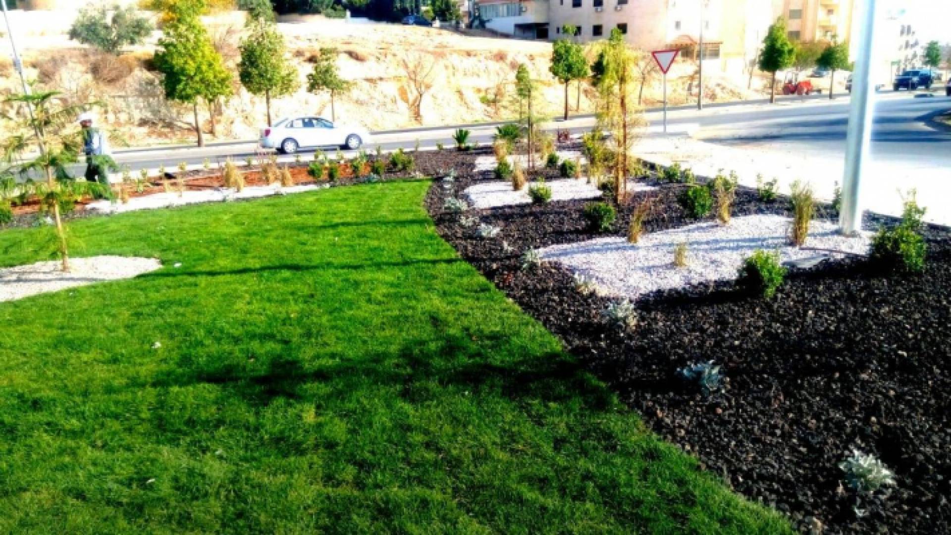 الامانة: جميع الأشجار التي تم زراعتها، نباتات أصيلة