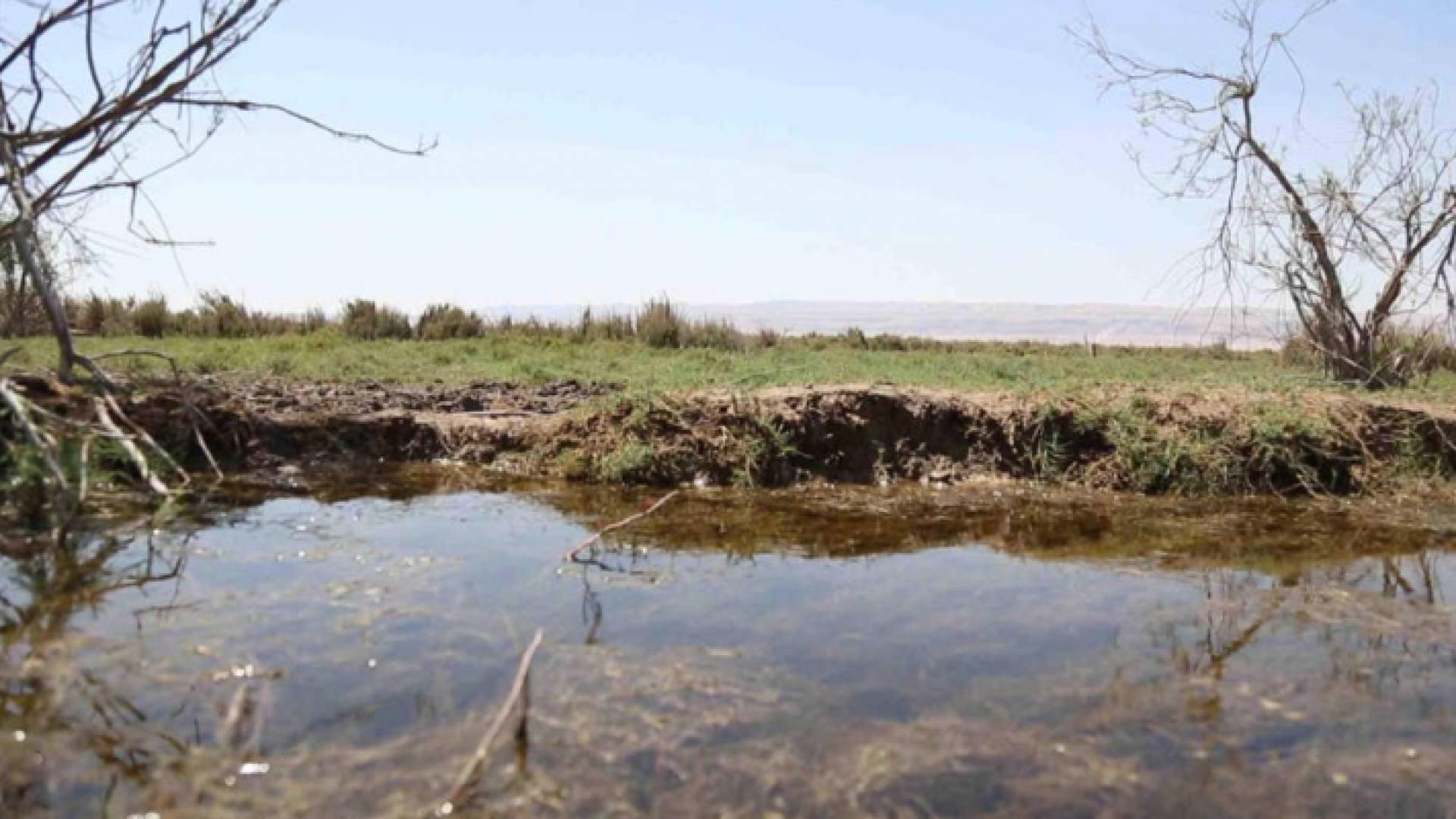 ارشيفية لمحمية فيفا