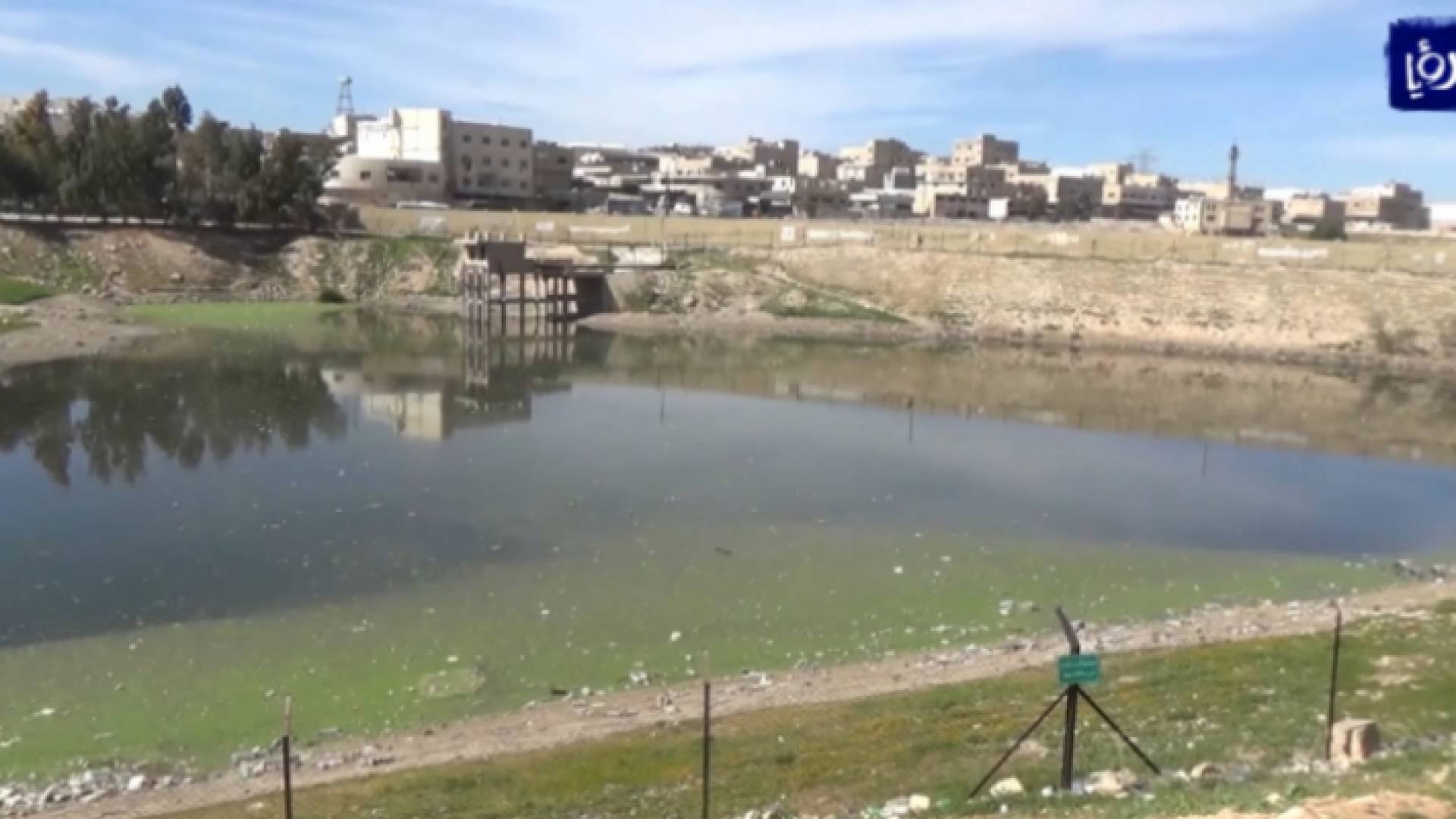 بركة البيبسي