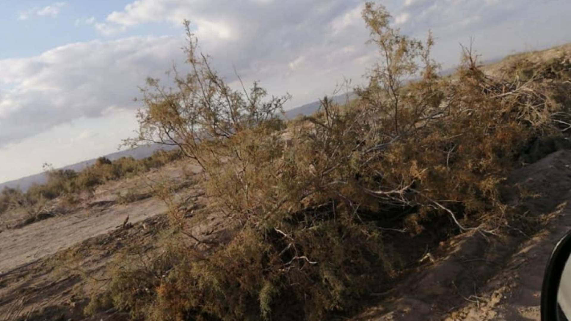 صورة من المنطقة - متداولة