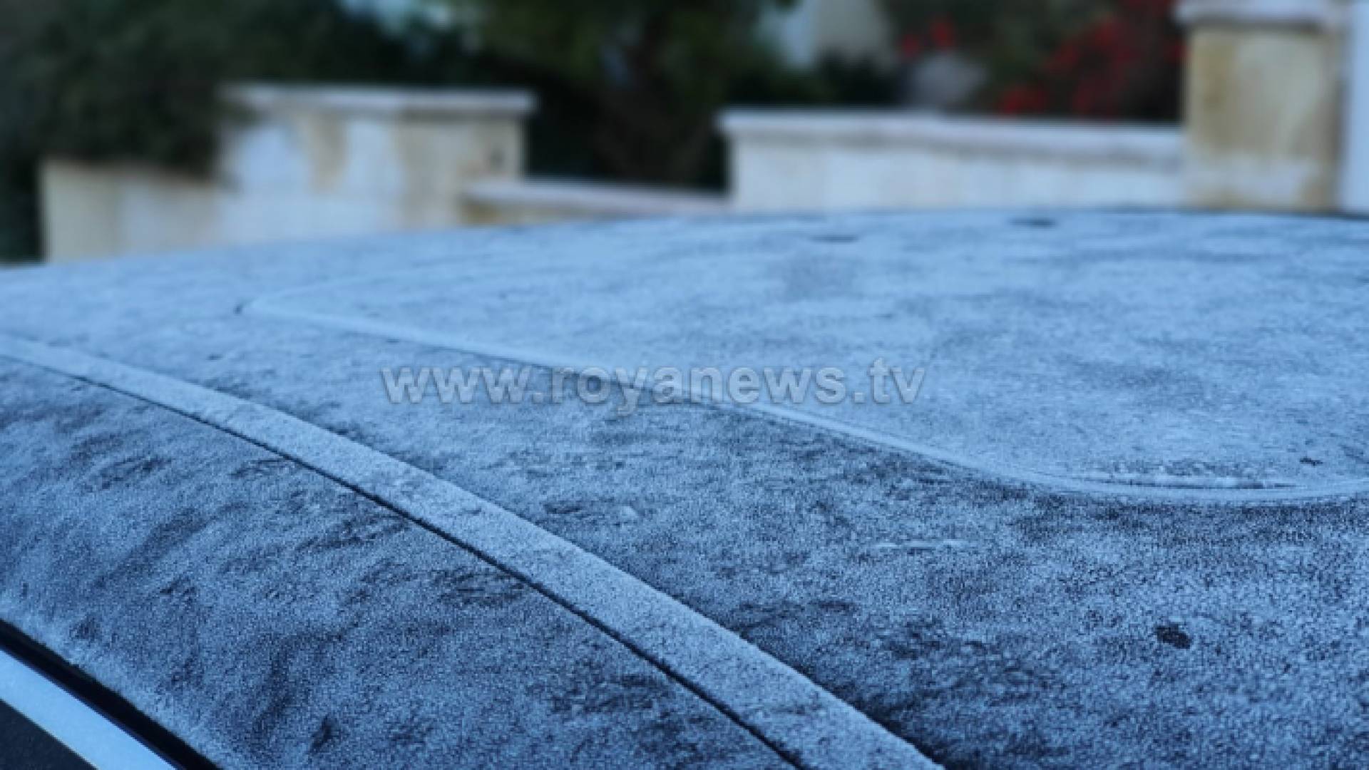 أجواء الصقيع في عمان صباح الإثنين