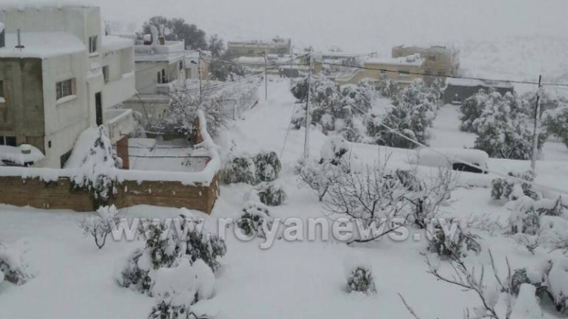 ثلوج - ارشيفية