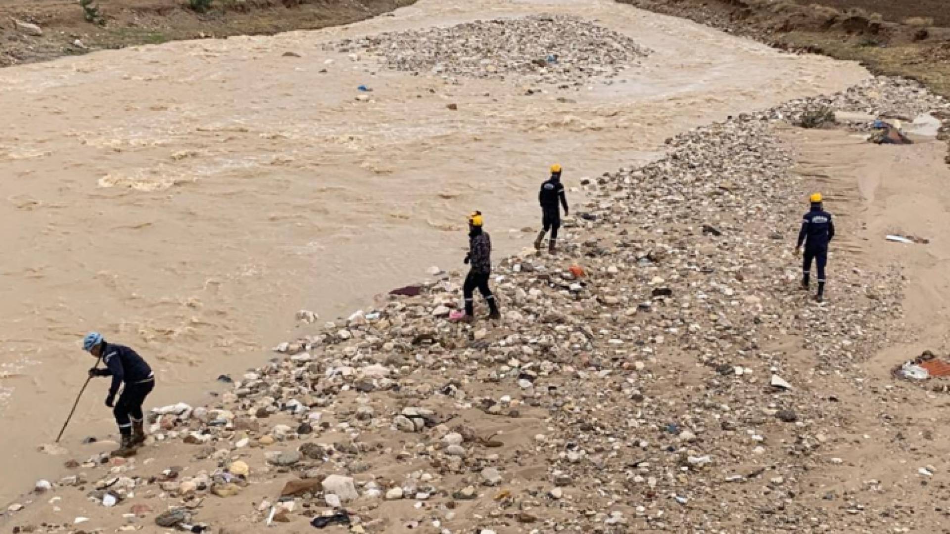 من عمليات البحث