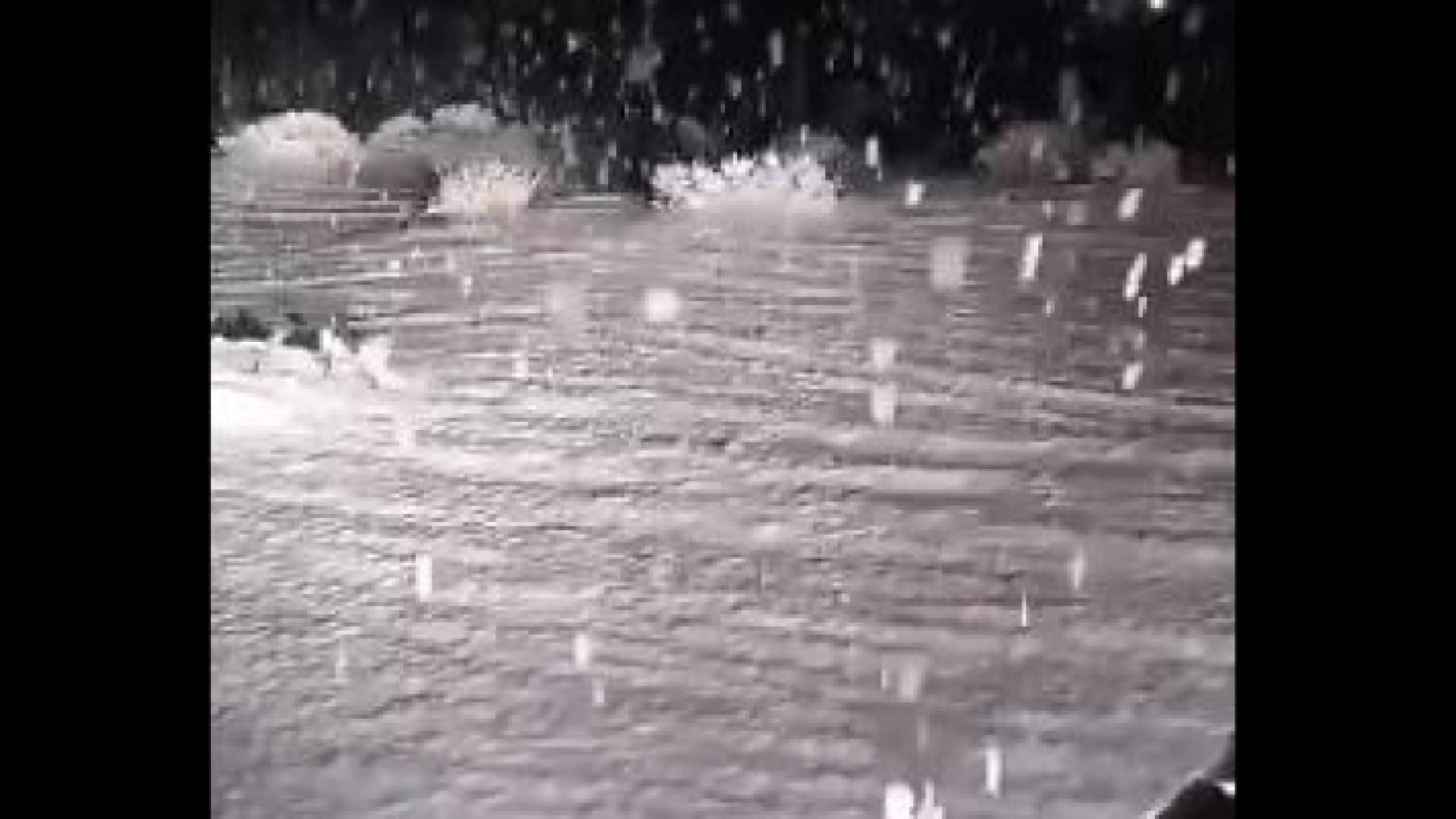 صورة من الفيديو