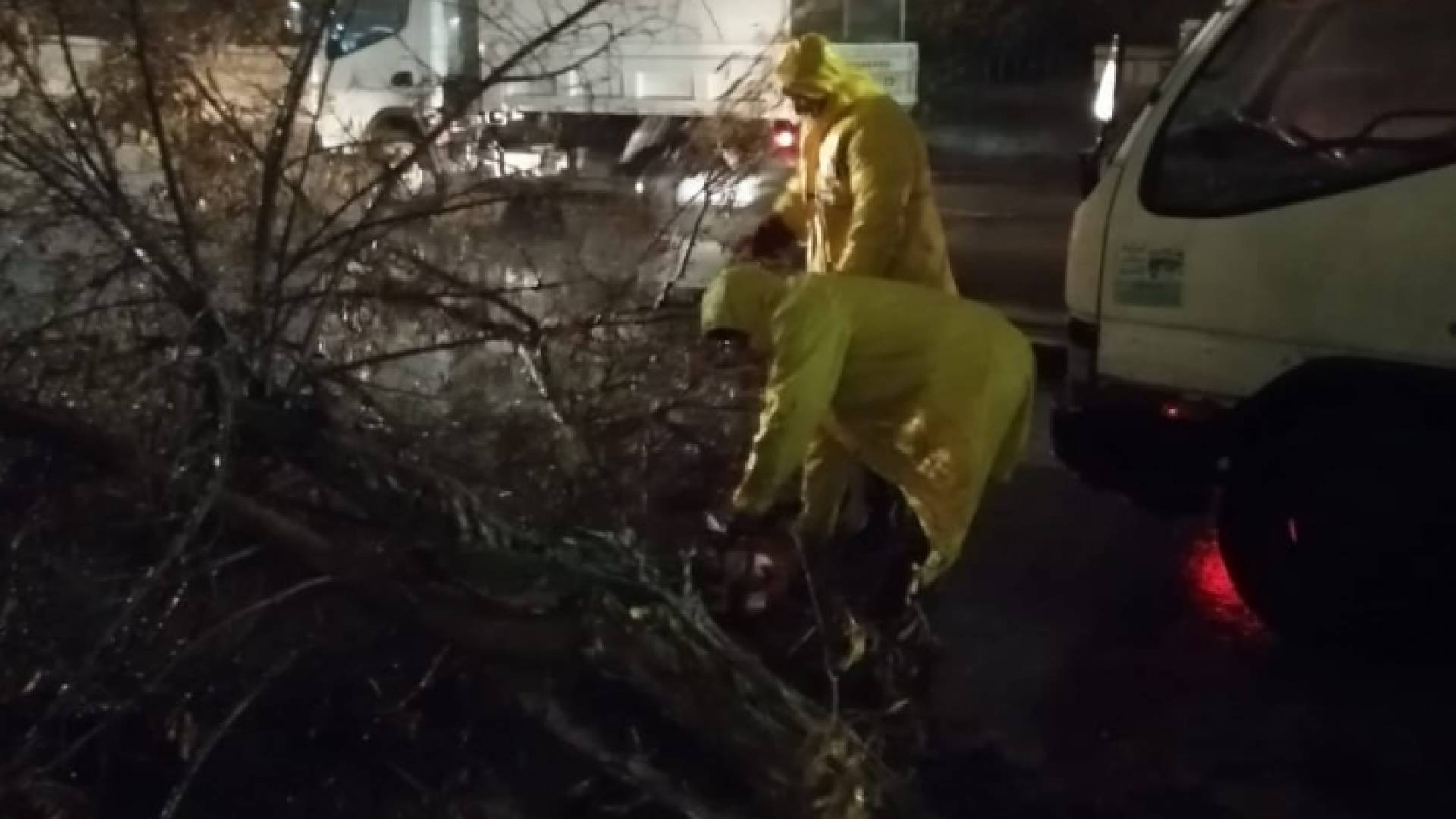 230 عاملا زراعيا تعاملوا مع ملاحظات المواطنين خلال المنخفض