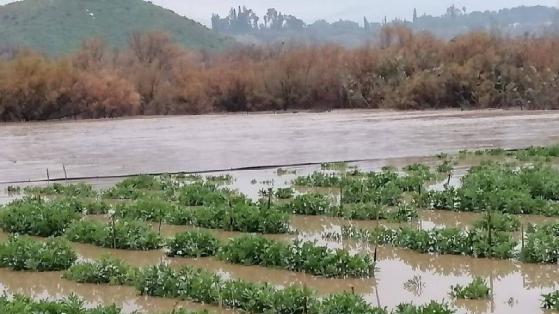ارتفاع منسوب المياه في نهر الاردن في الاغوار الشمالية والمياه تداهم المحاصيل الزراعية