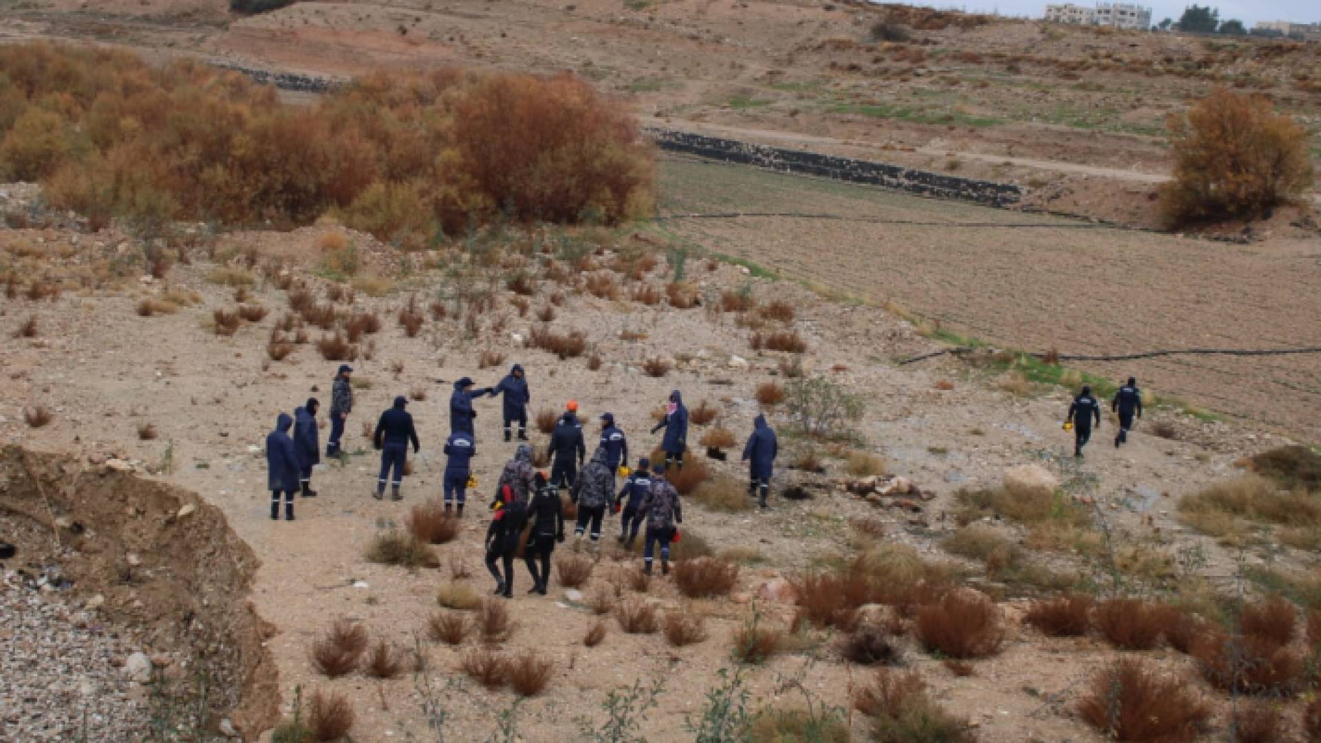 من عمليات البحث