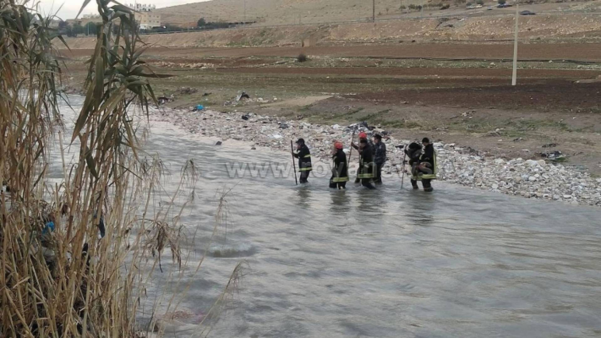 من عمليات البحث