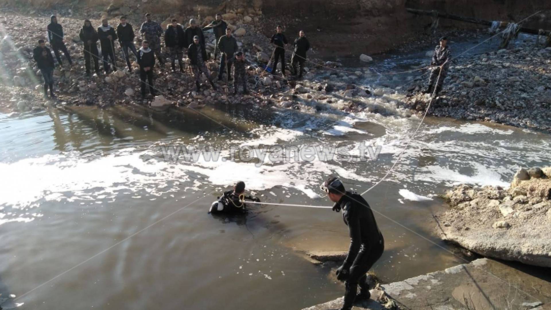 من عمليات البحث