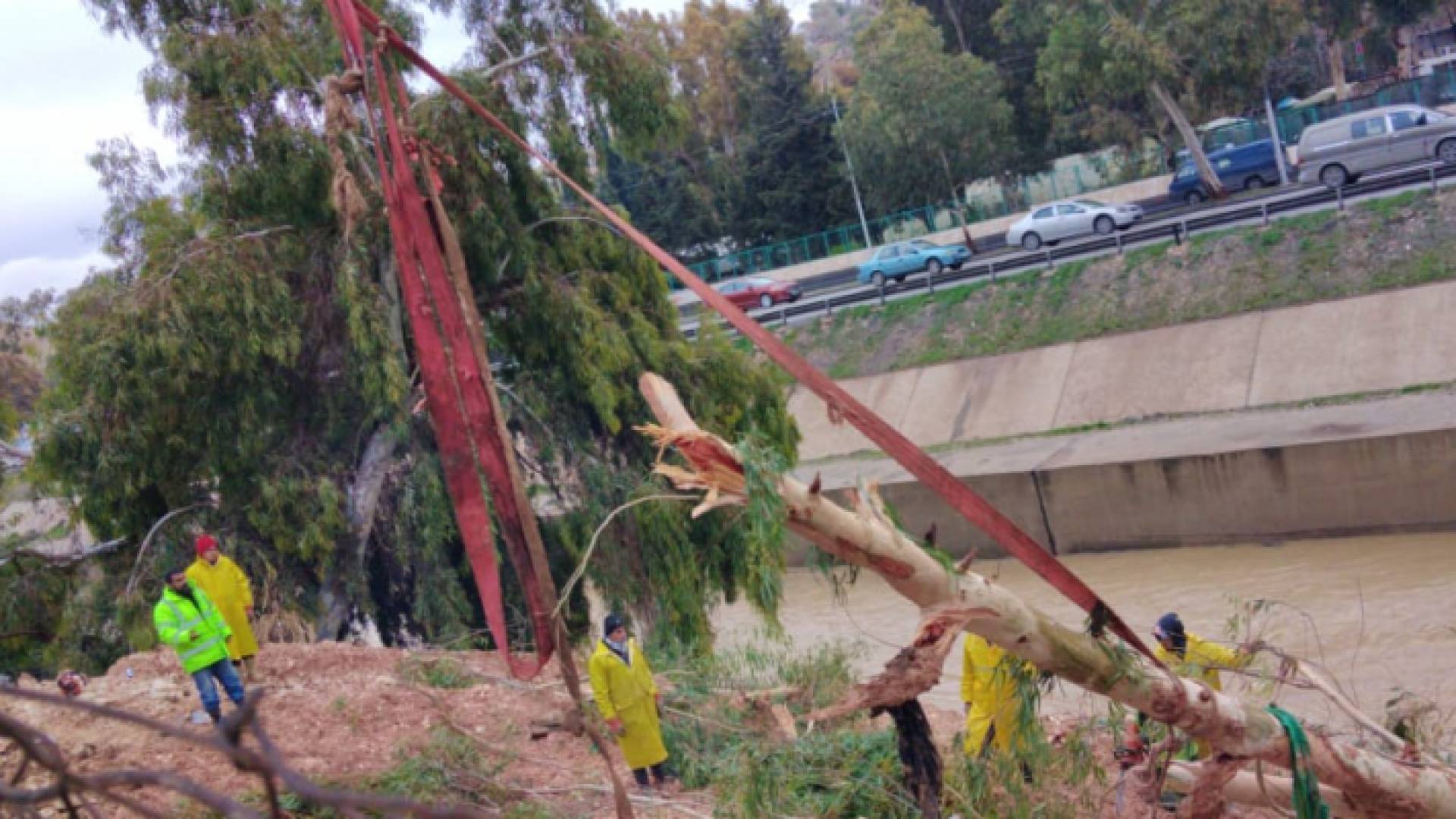 الصورة أرشيفية