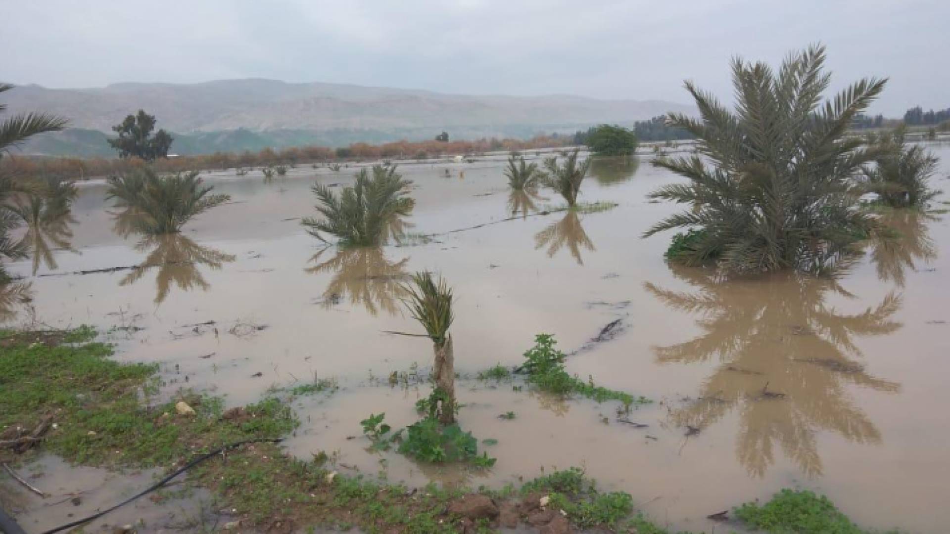 منسوب نهر الاردن المرتفع يسير نحو دير علا وداميه جنوبا