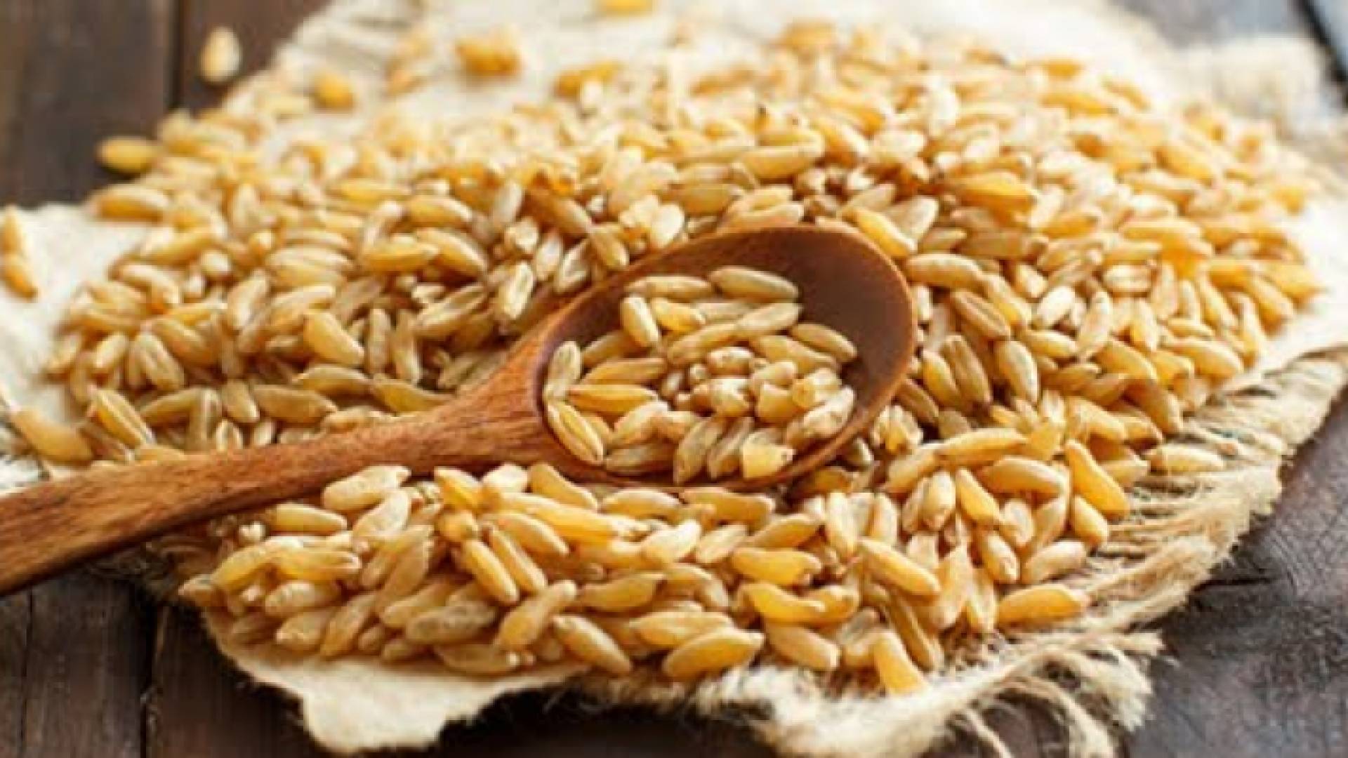 حبوب الكاموت