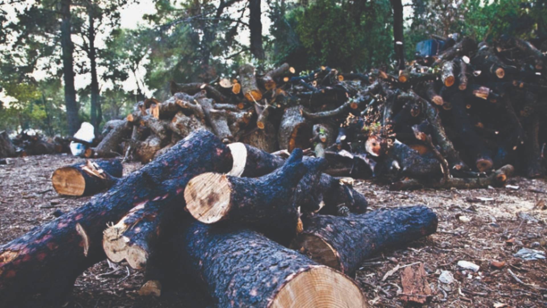 الصورة أرشيفية