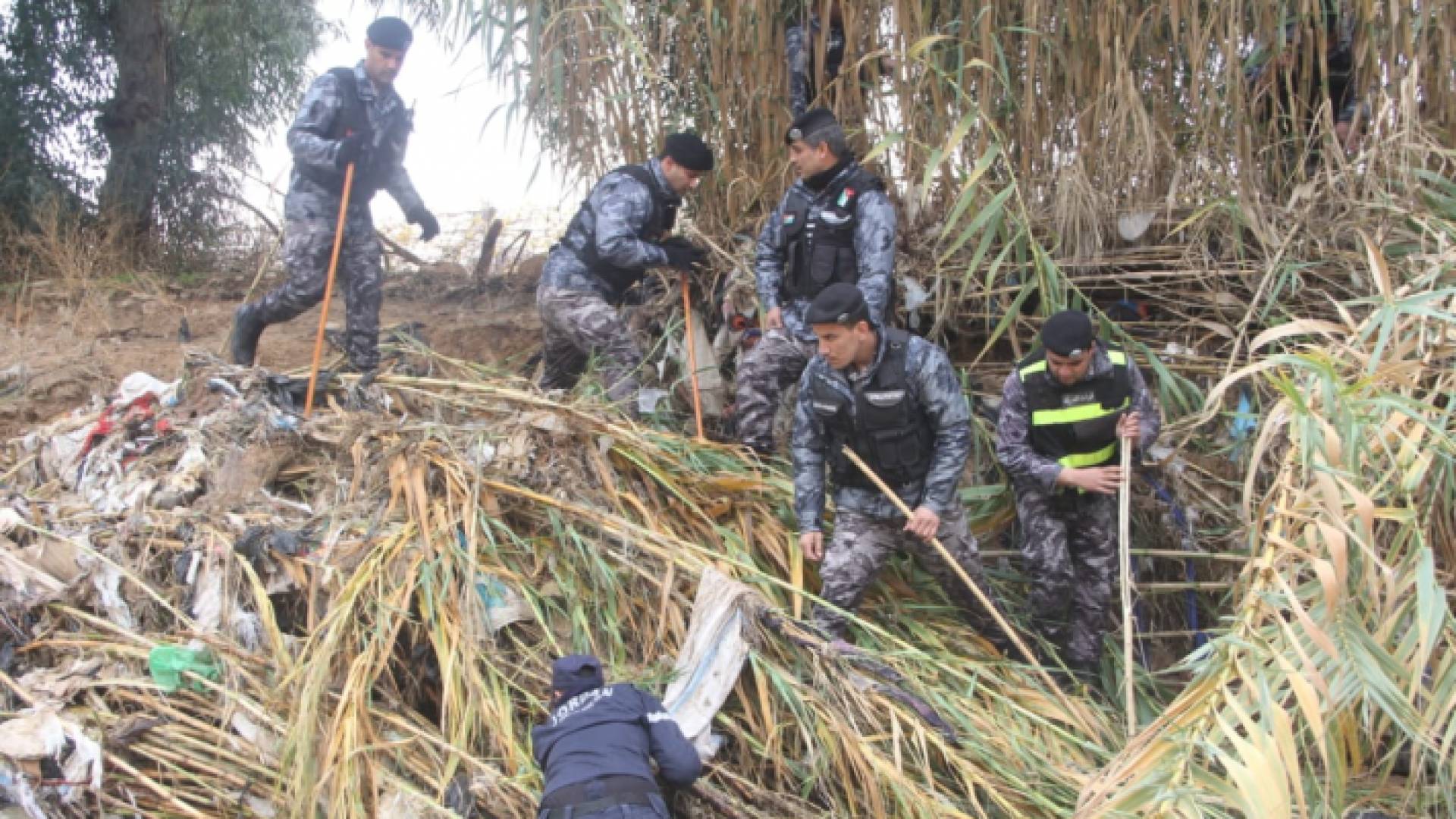 من عمليات البحث