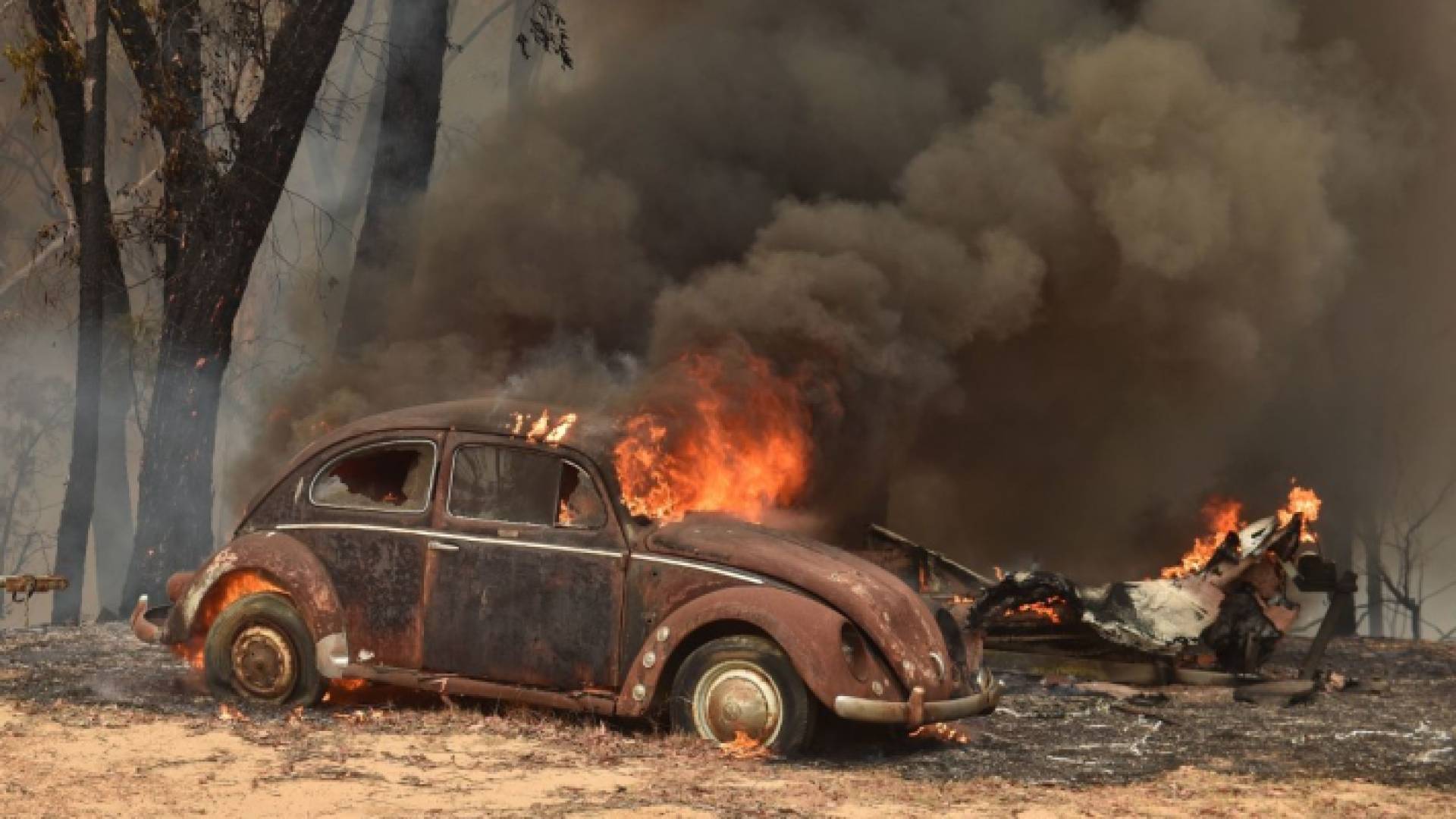 من حرائق الغابات في استراليا