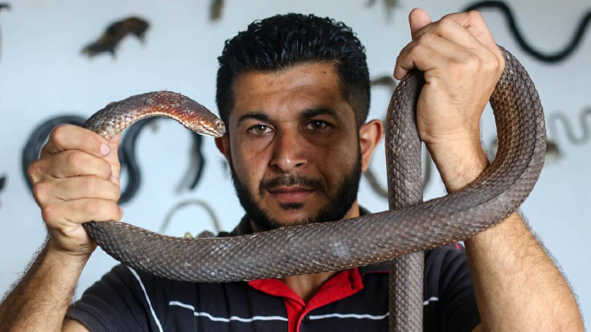 الشاب الفلسطيني عبد الفتاح عسلية