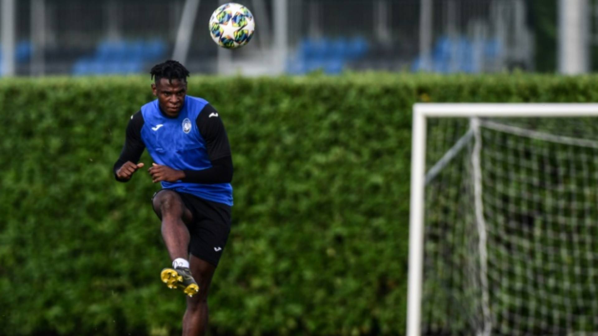 الكولومبي دوفان زاباتا