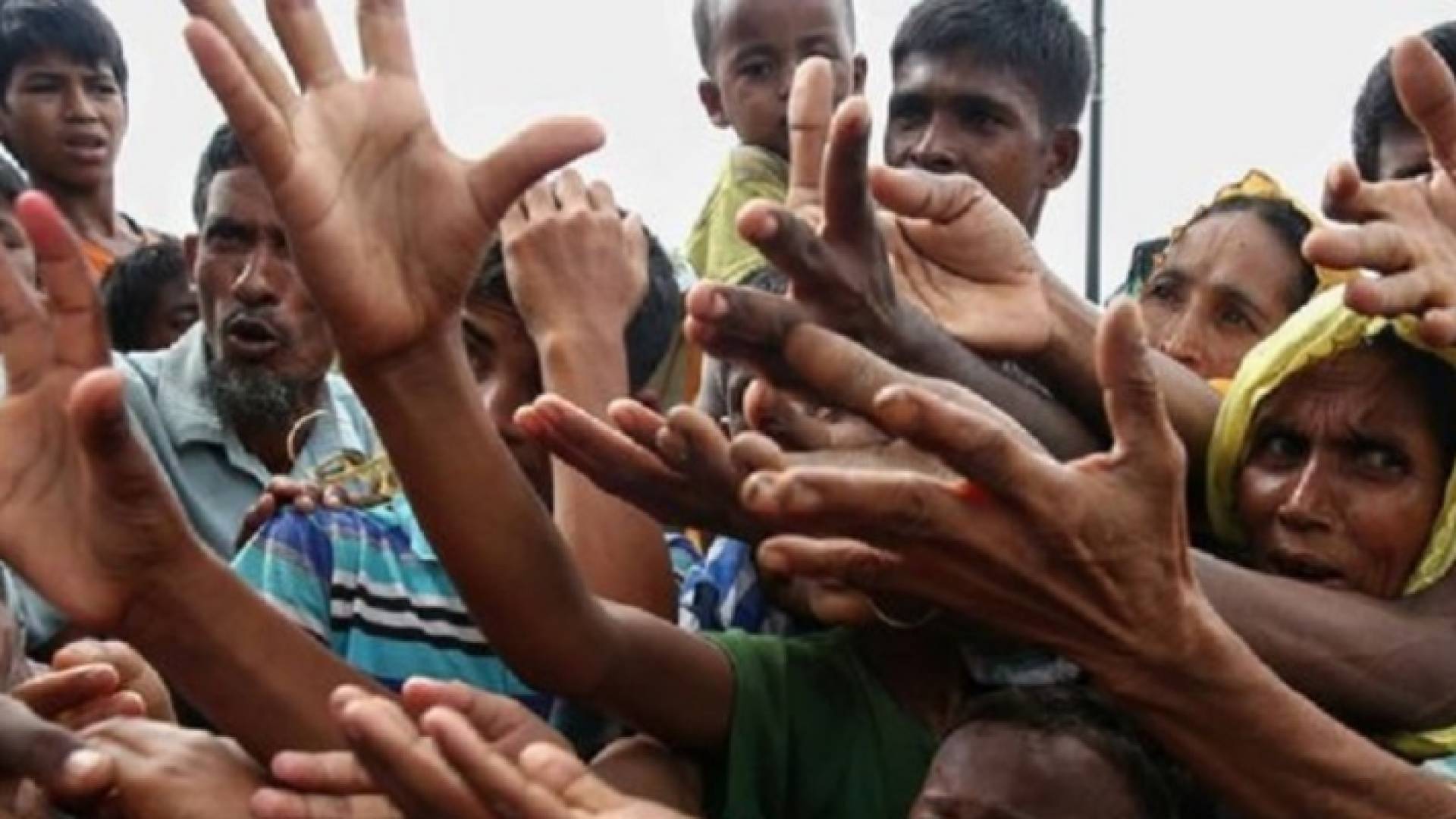 مسلمي الروهينغا