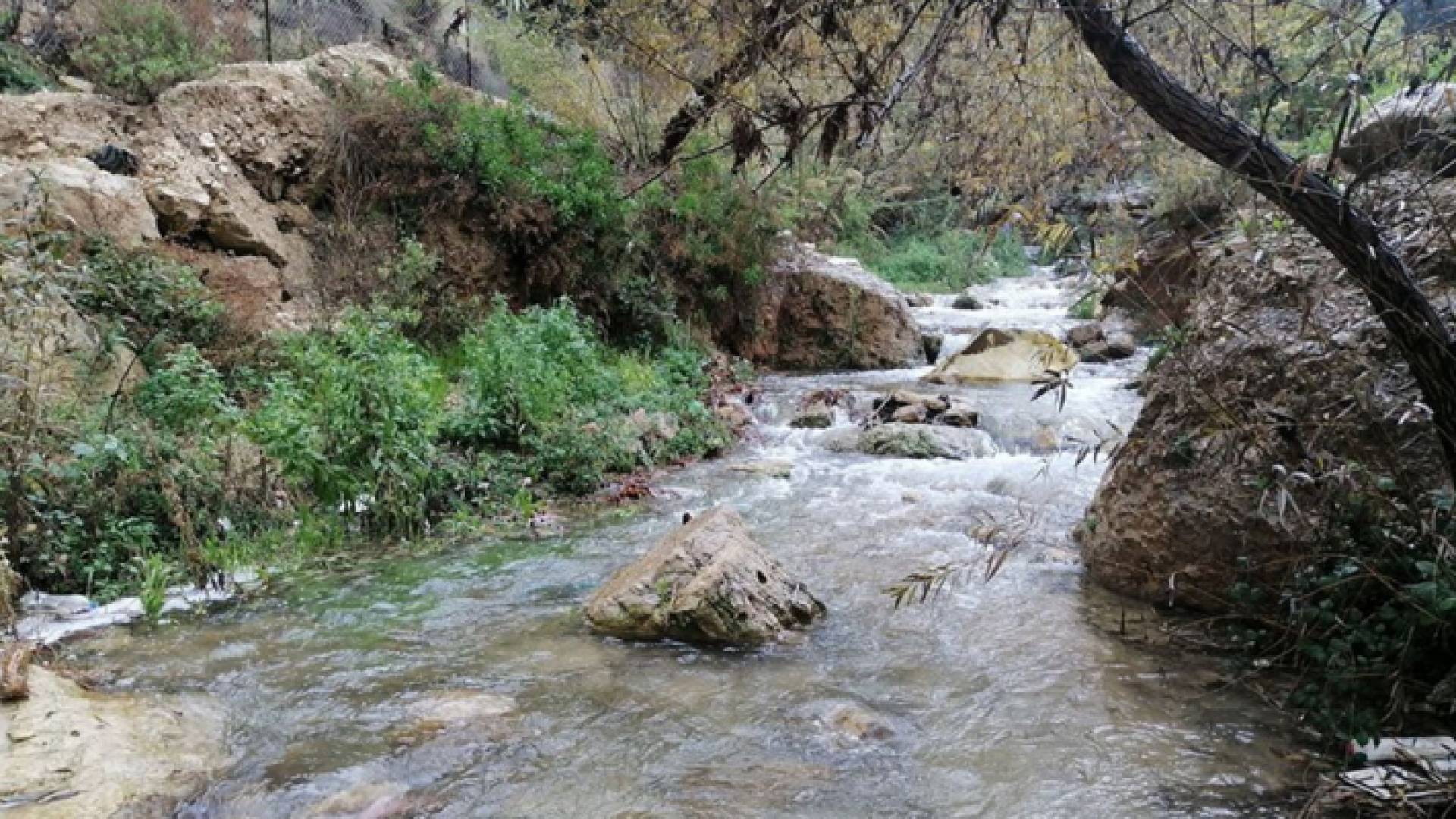 الينابيع في عجلون