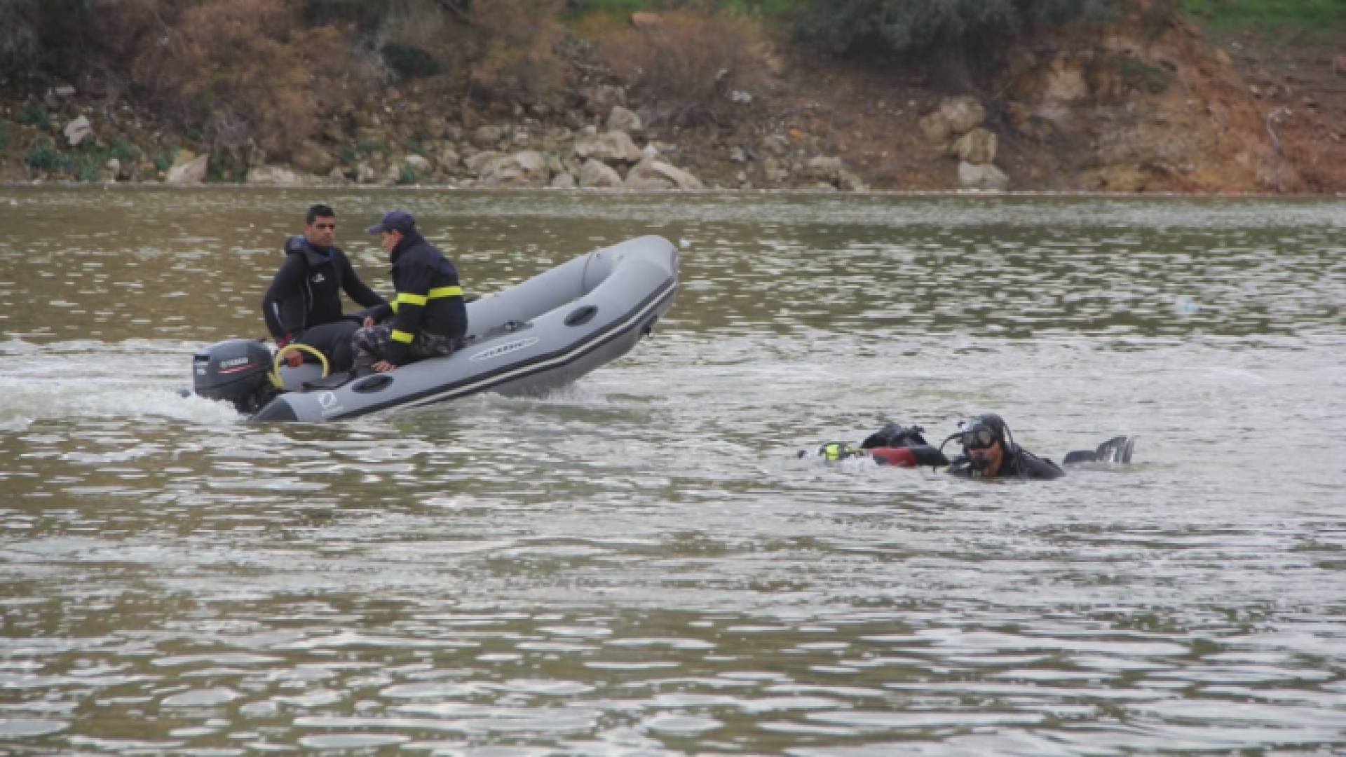 الصورة من عمليات البحث