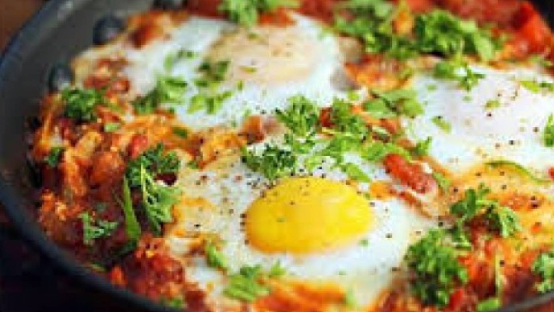 . الاحتلال يهود طبق الشكشوكة