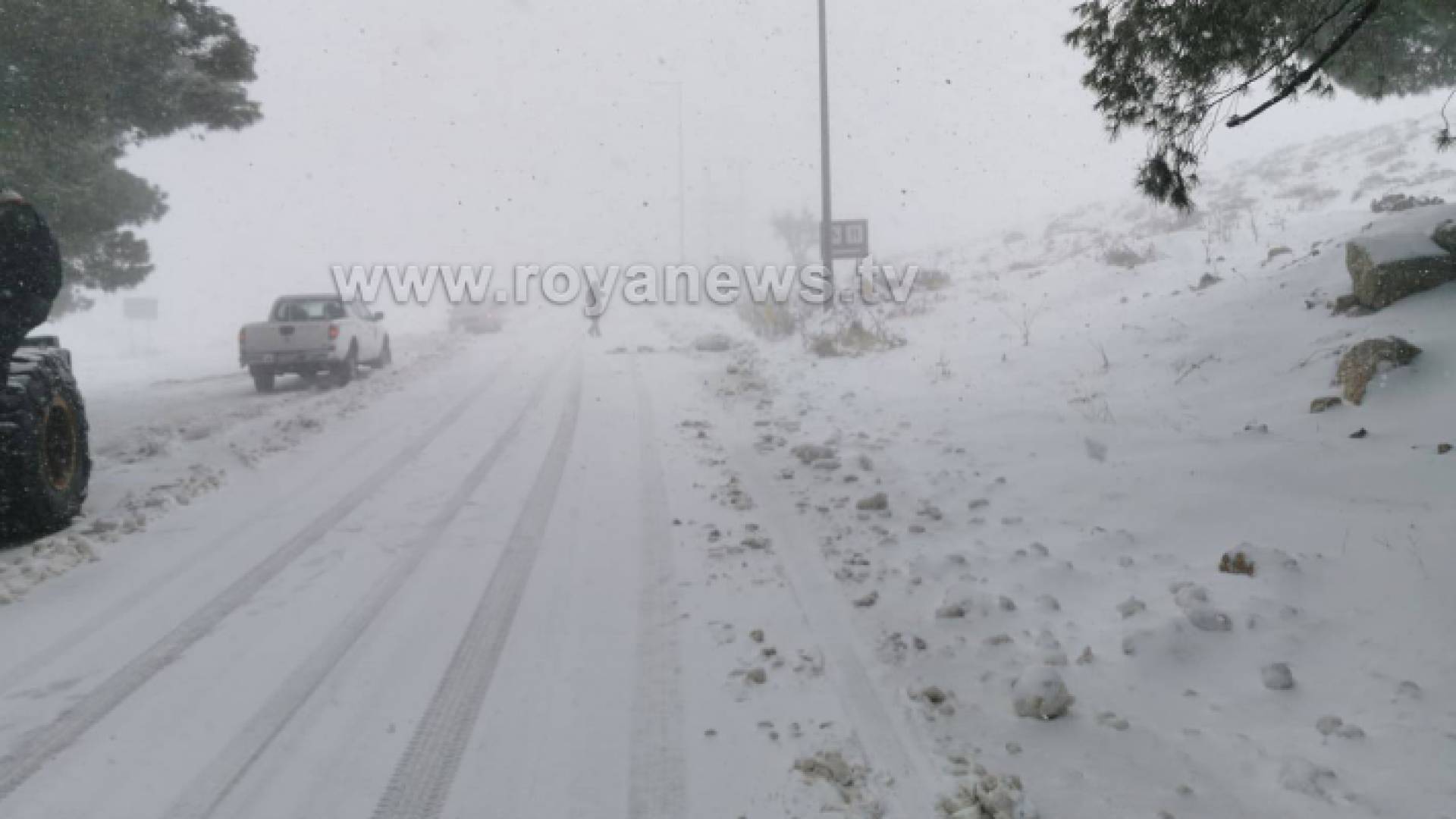 الصورة من الرشادية