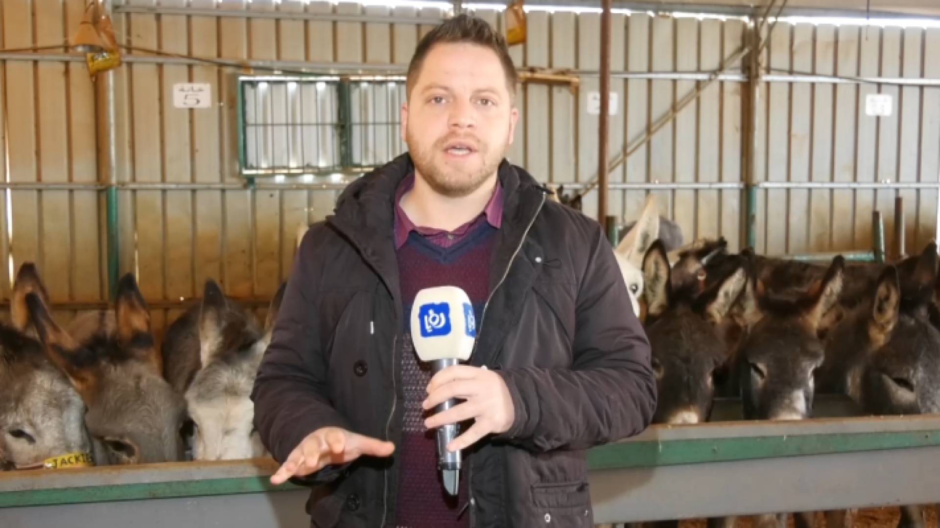 صورة من الفيديو