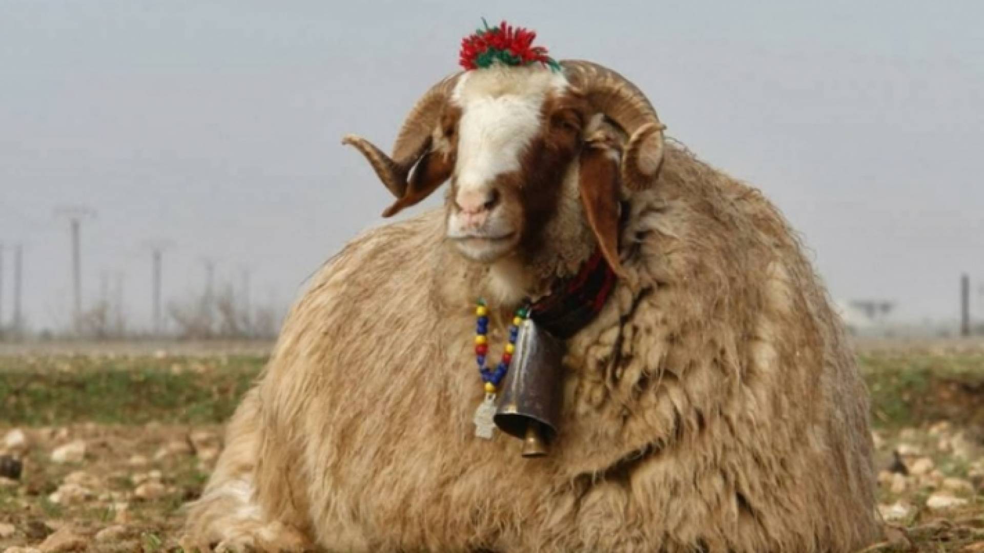 الصورة أرشيفية