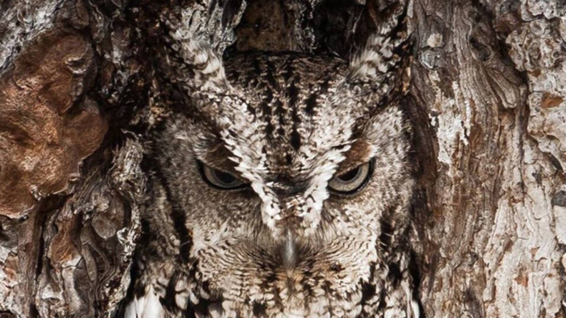 بالانغماس في الطبيعة