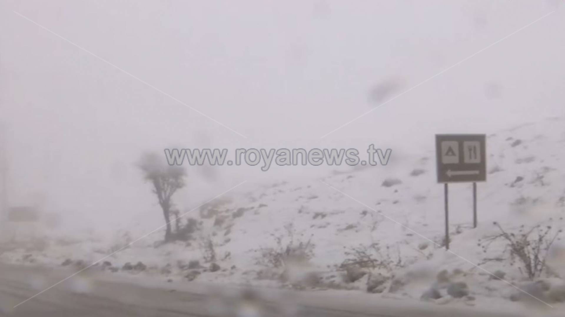 الصورة من الرشادية