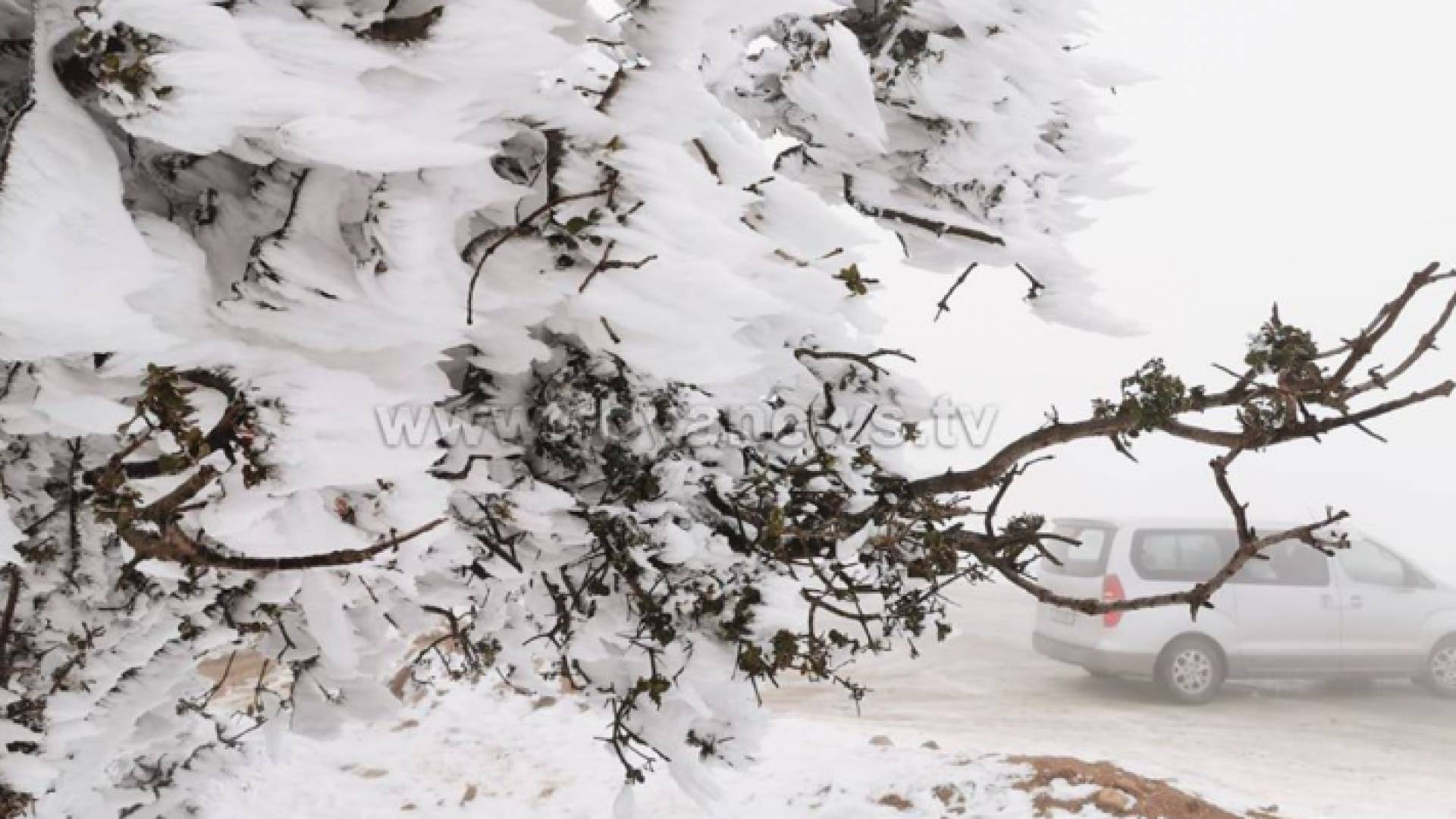 الثلوج جنوبي الاردن