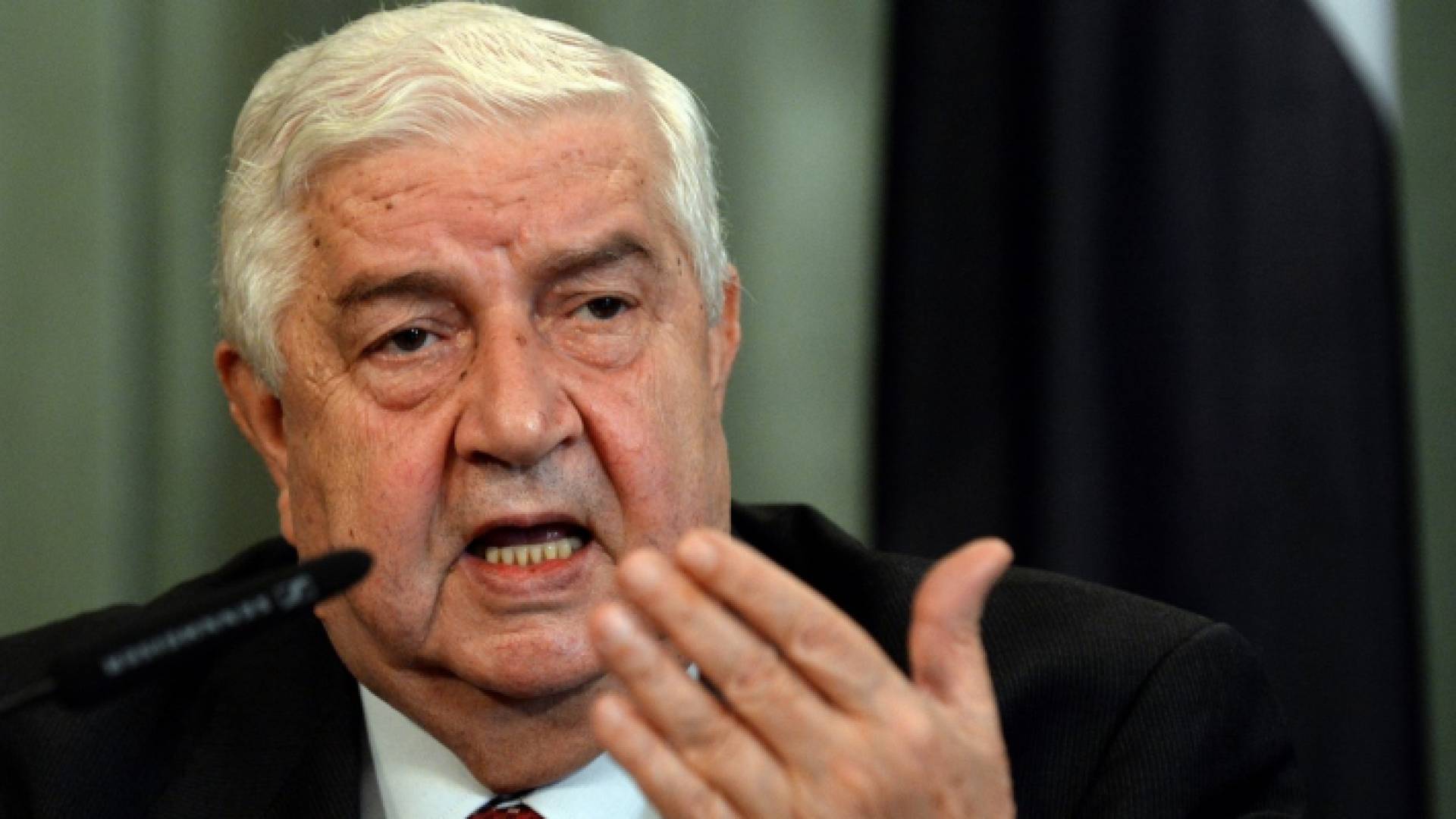 وليد المعلم