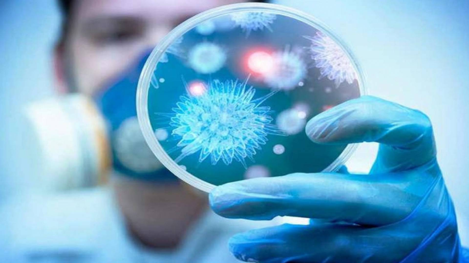 فيروس كورونا