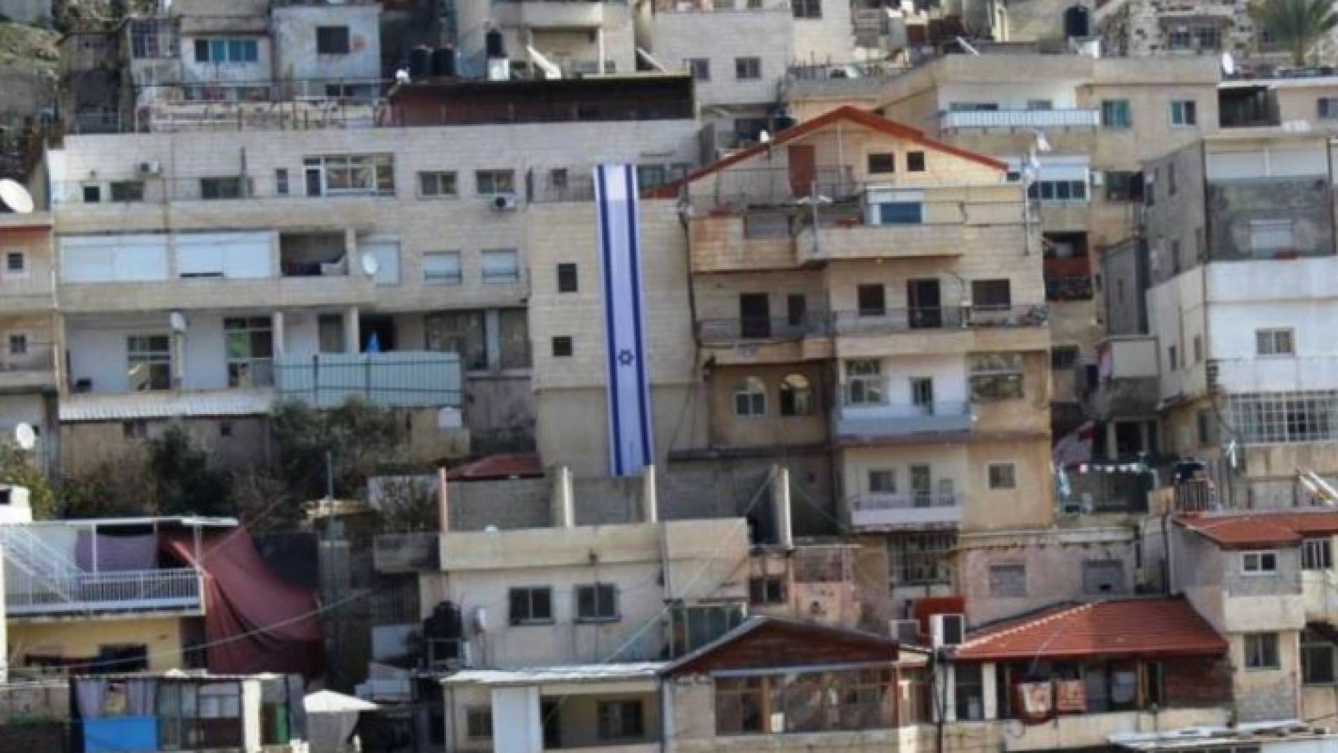 ارشيفية