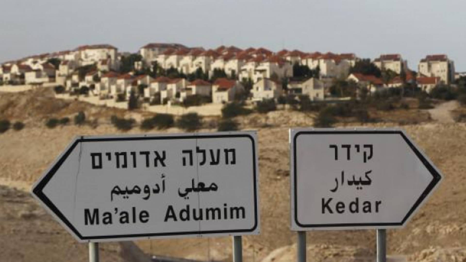 مستوطنة معاليه أدوميم