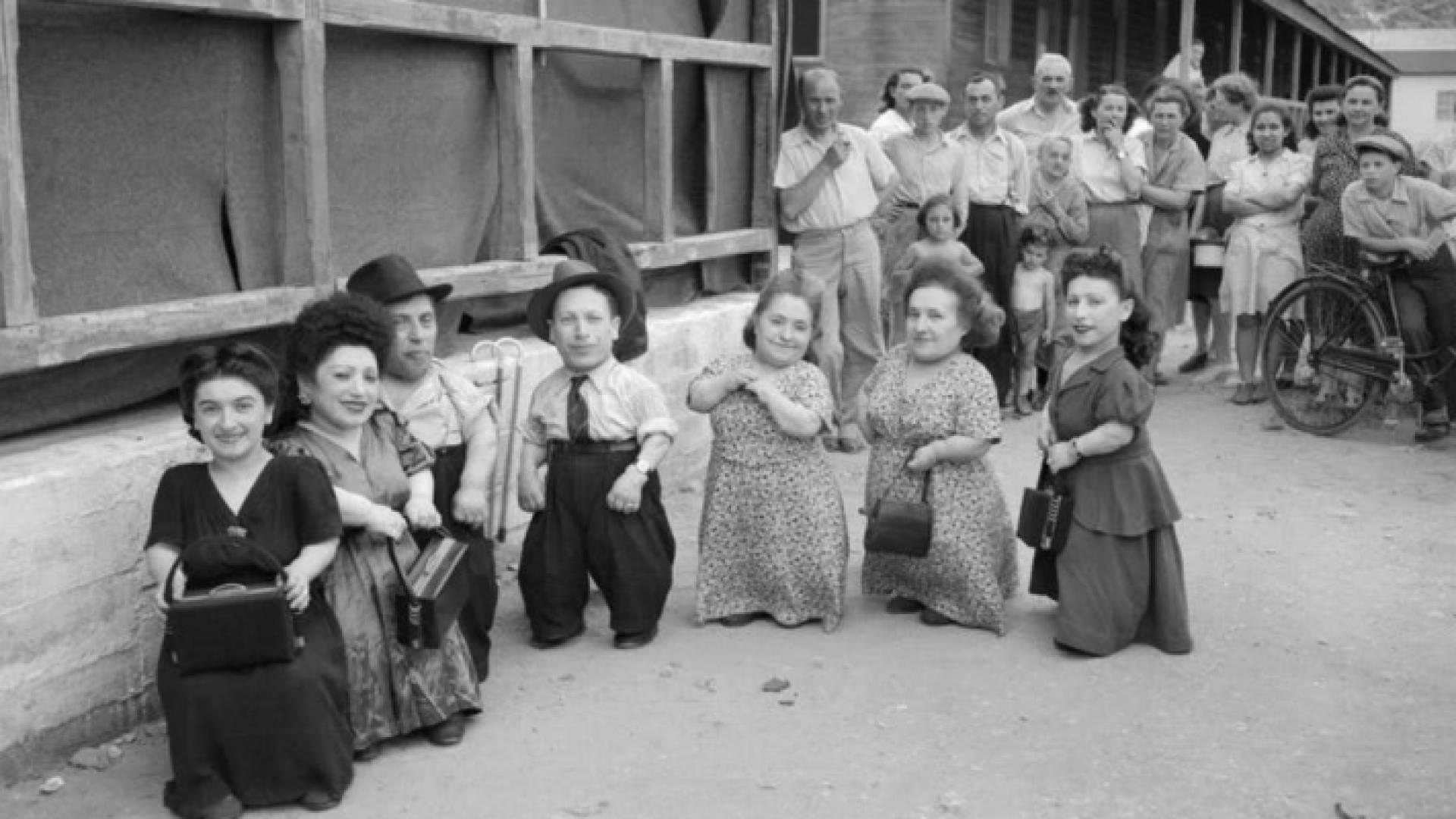 عائلة الأقزام