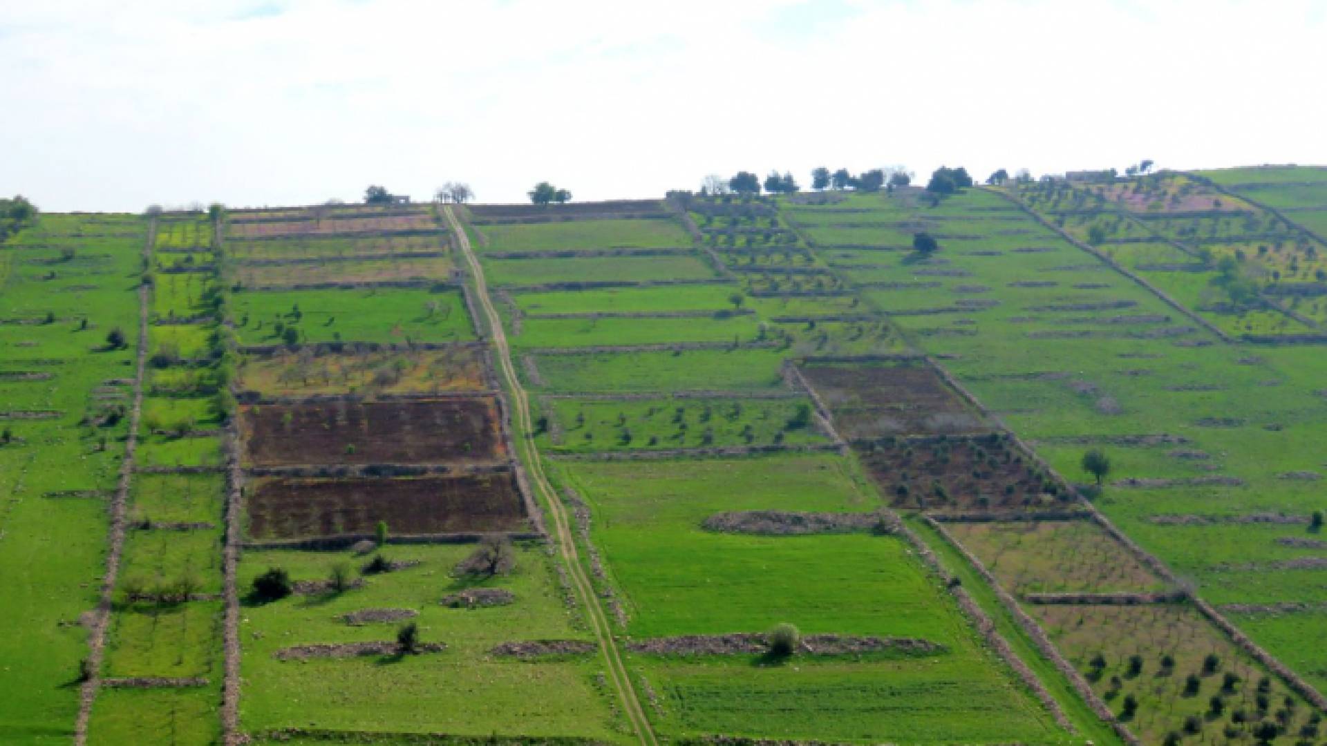 قرية رحابا في لواء المزار الشمالي بمحافظة اربد- ارشيفية