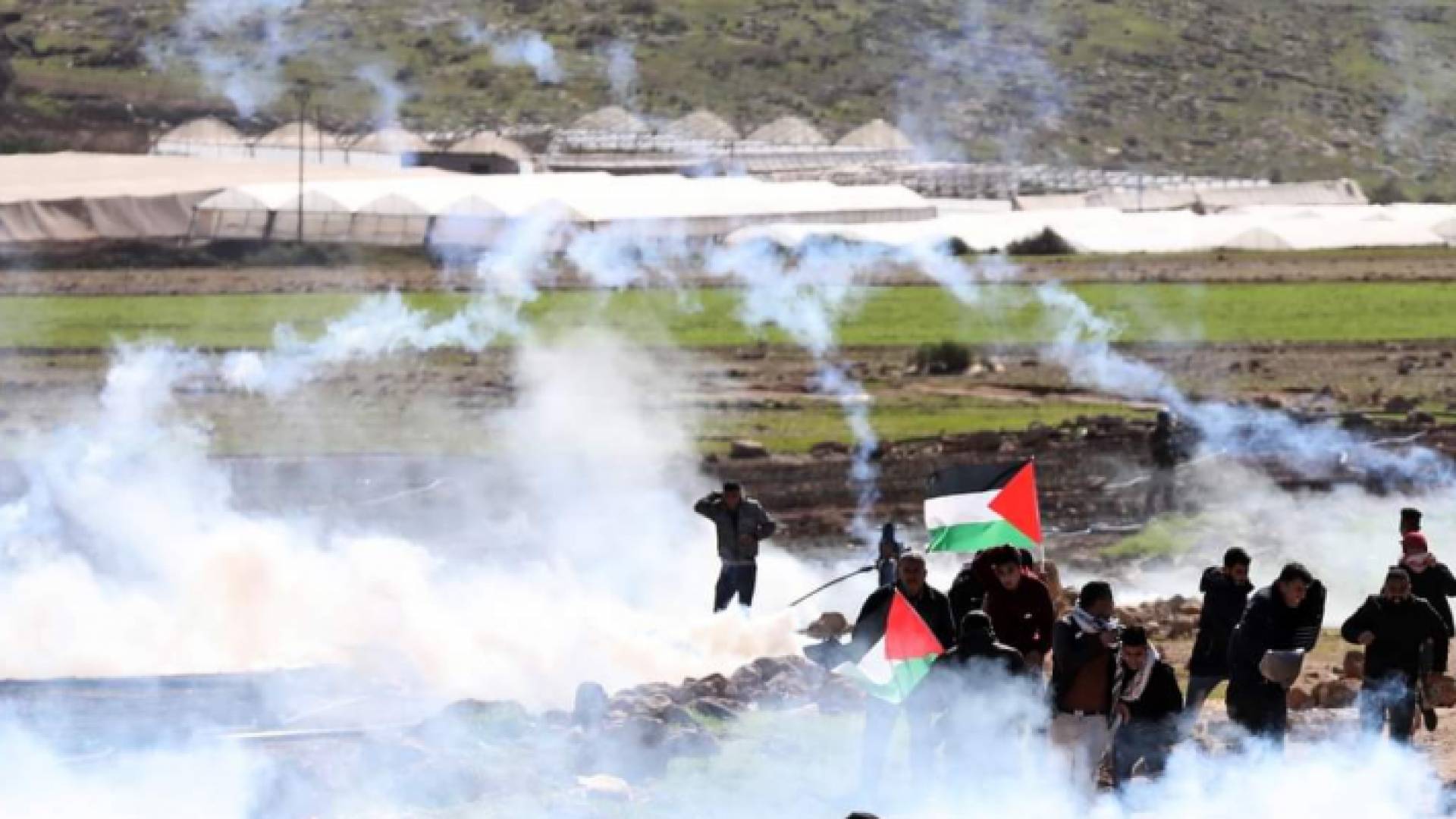 الصورة من المواجهات مع الاحتلال