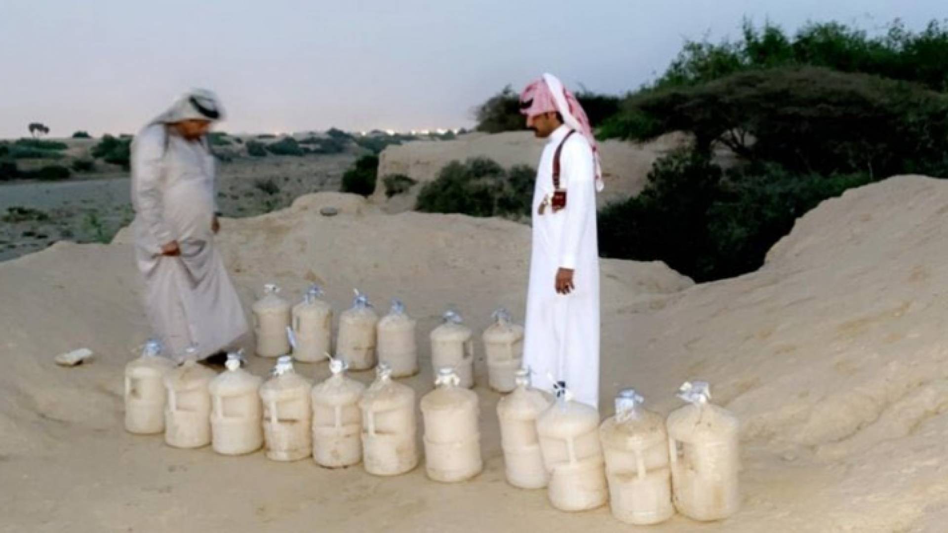 من المضبوطات