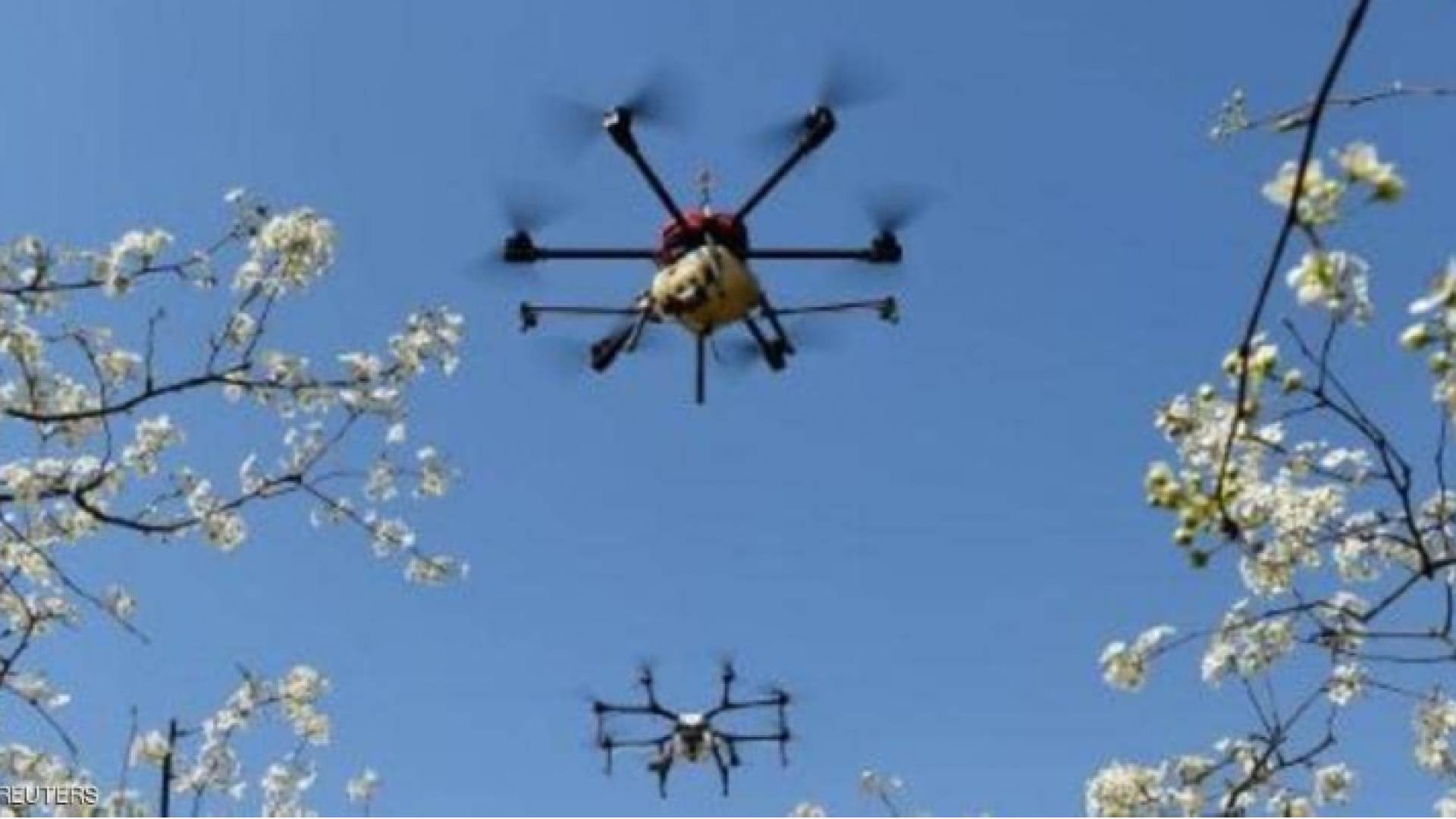 فيروس كورونا